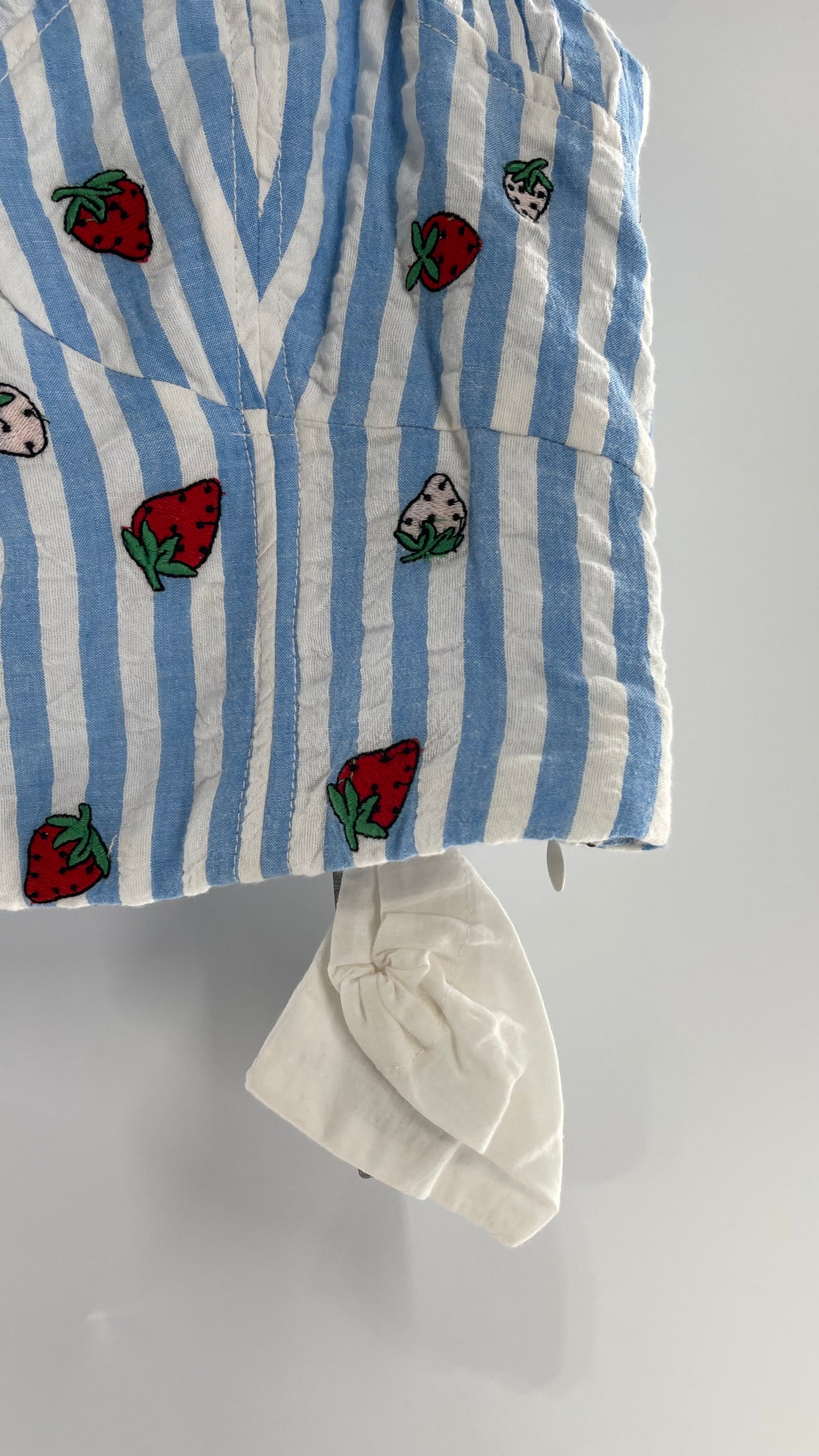 Maeve Anthropologie Baby Blue White Striped Corset Like Crop with Embroidered Strawberries (6)
