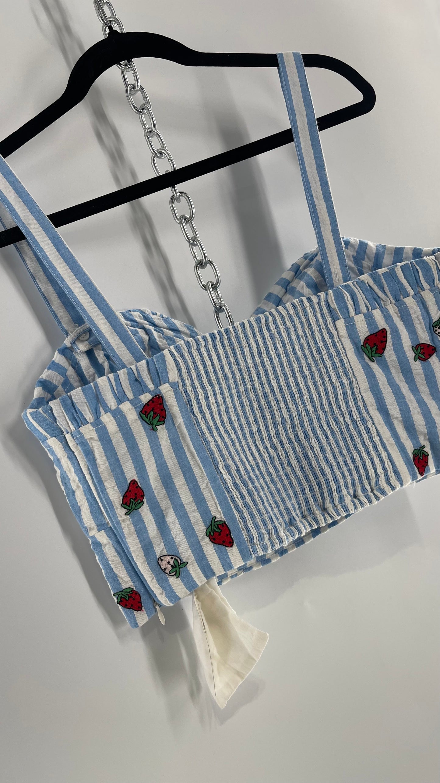 Maeve Anthropologie Baby Blue White Striped Corset Like Crop with Embroidered Strawberries (6)