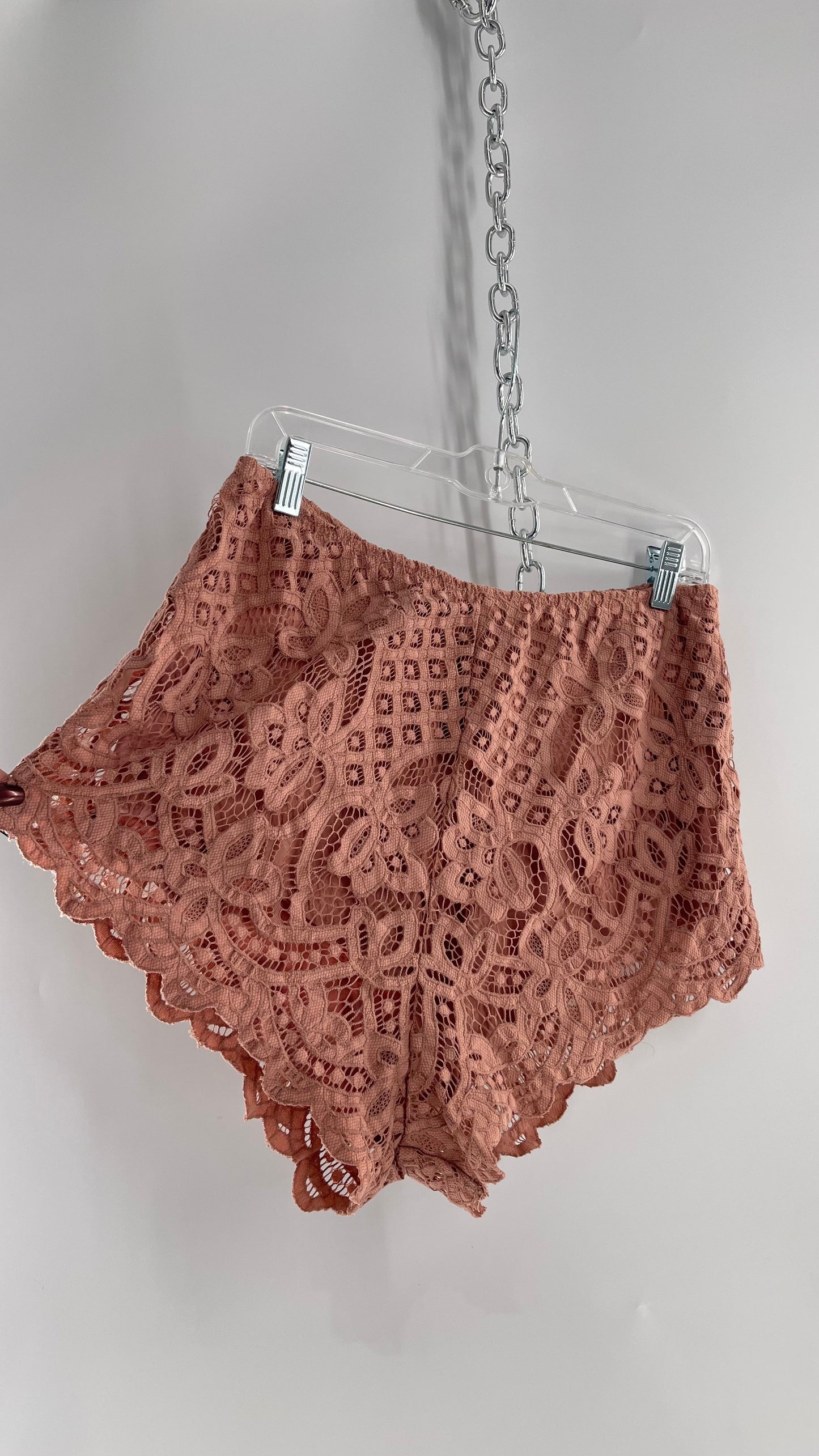 Intimately Free People Dusty Pink Lace Shorts (Large)