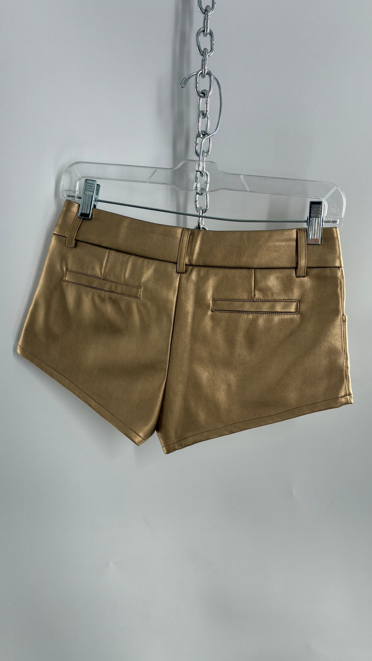 EDIKTED Gold Vegan Leather Low Waisted Hot Shorts (XS)