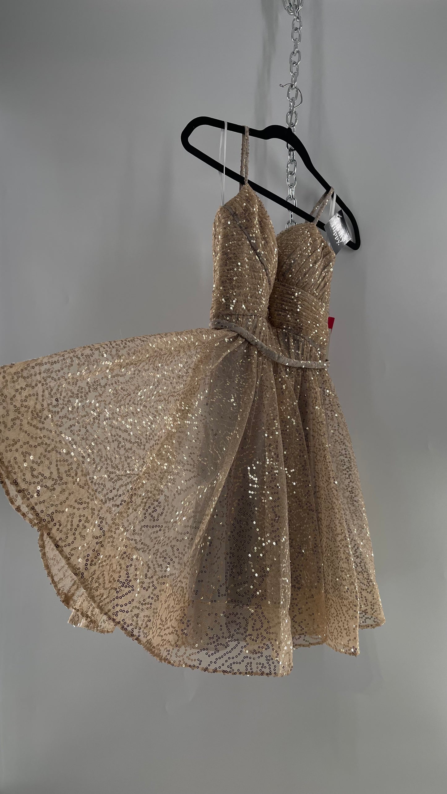 Terani Couture 1922H0420 Sleeveless Gold Sequin Tutu Dress with Ruched Corset Body (0)