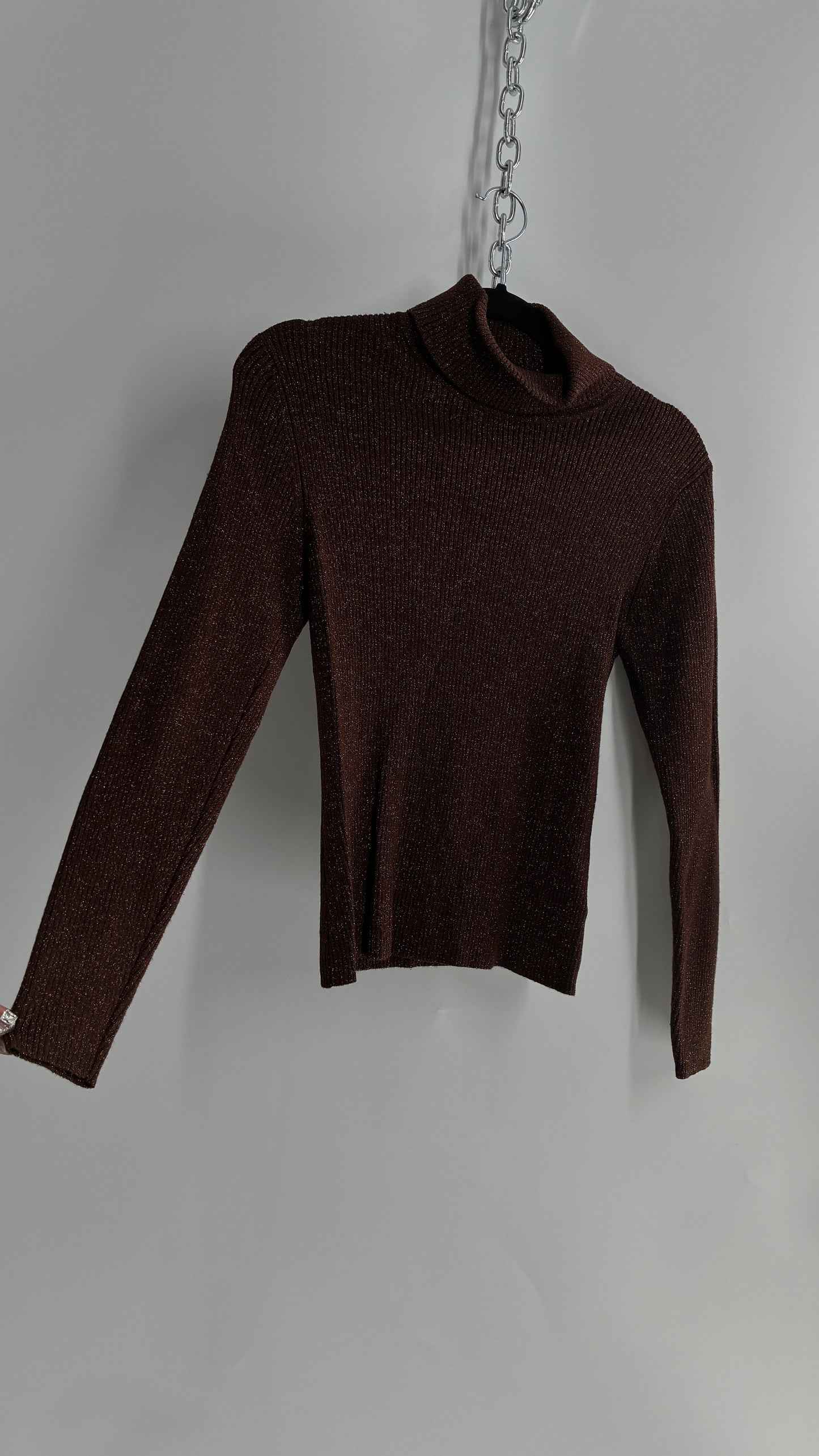WORTHINGTON Brown Sparkle Tinsel Ribbed Knit Turtle Neck (Small)