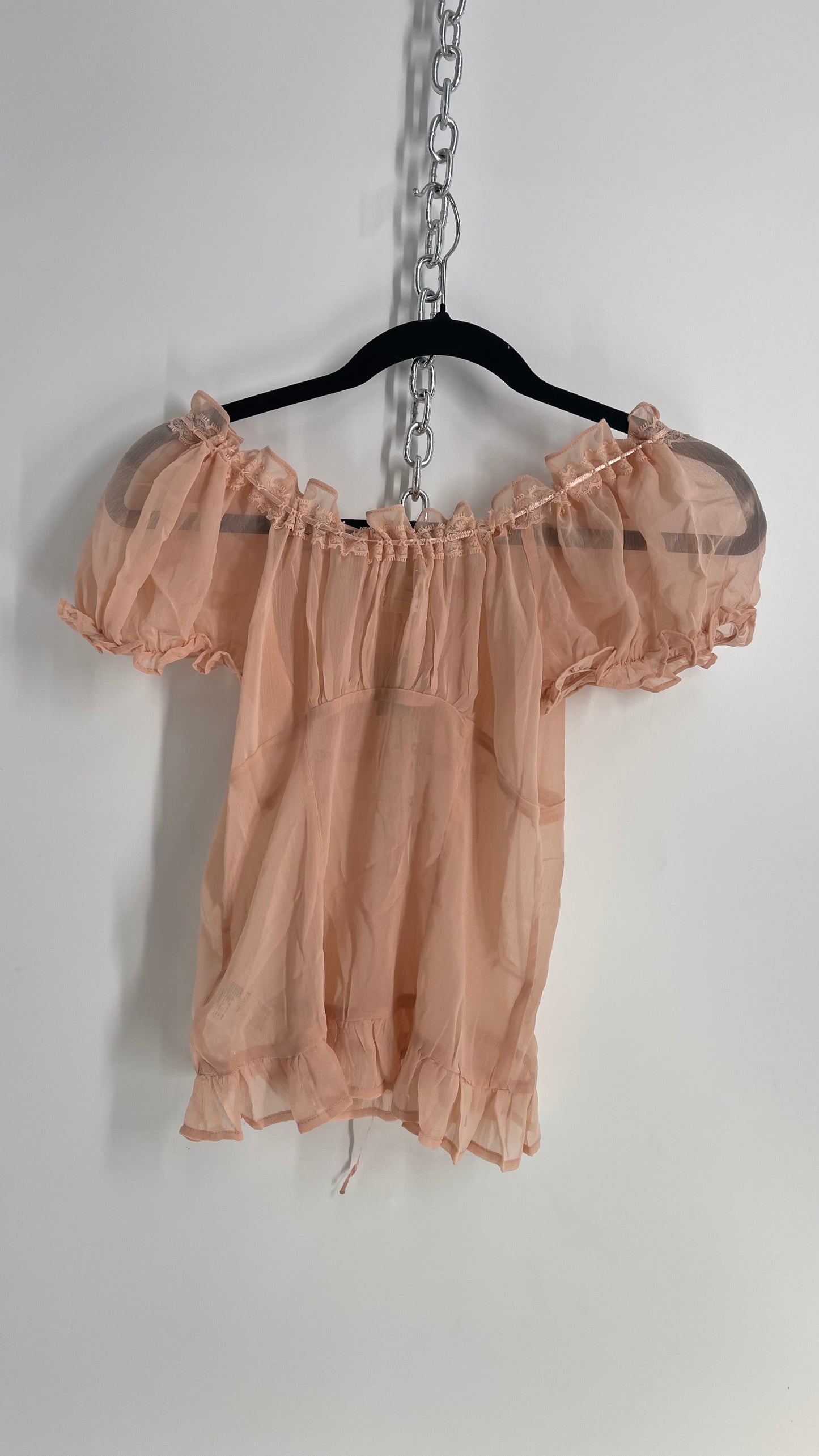 Urban Outfitters Dusty Pink Sheer Puff Sleeve Button Front Blouse (Large)
