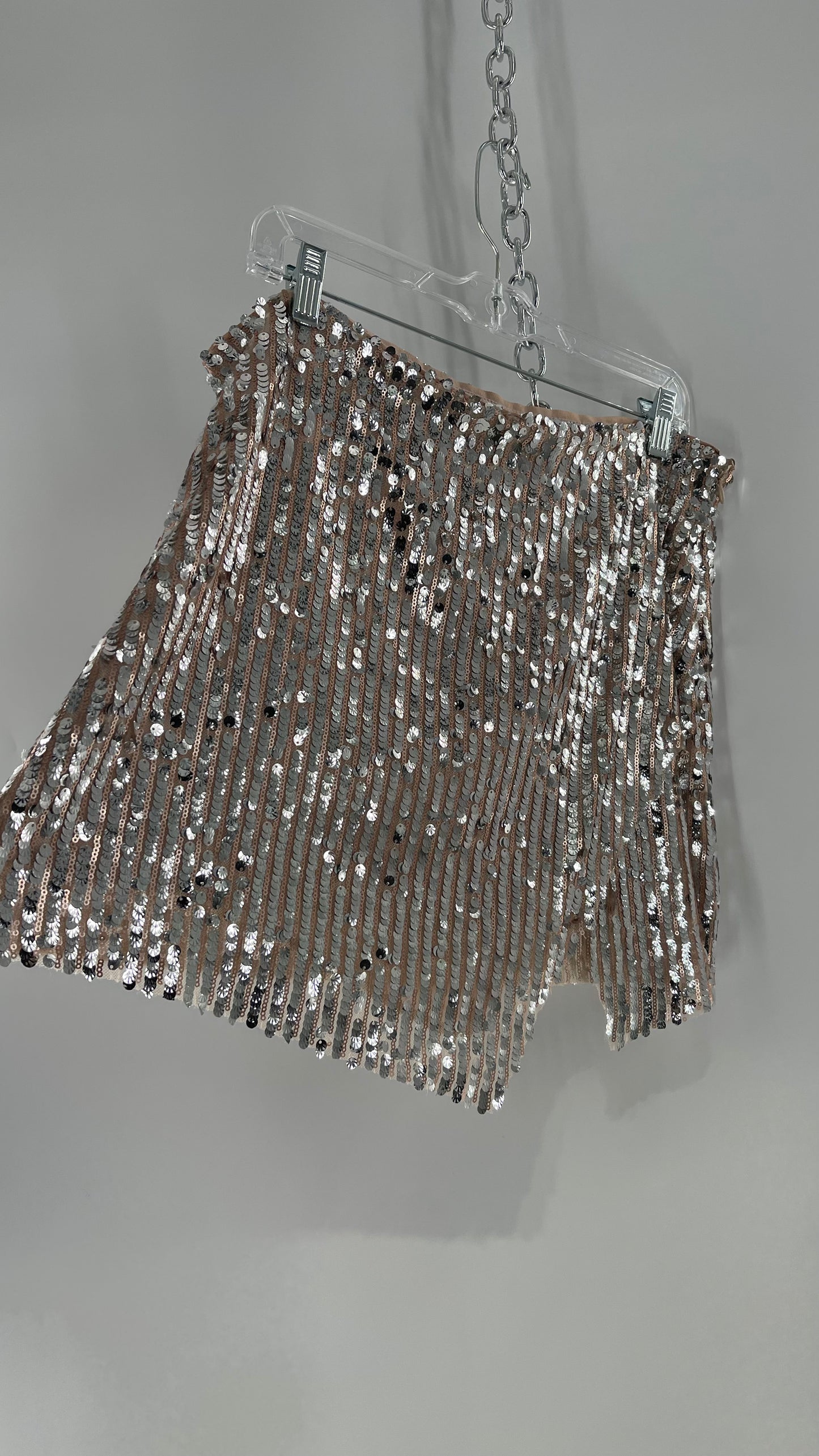 Free People Silver and Nude Sequin Shimmer Mini Skirt (14)
