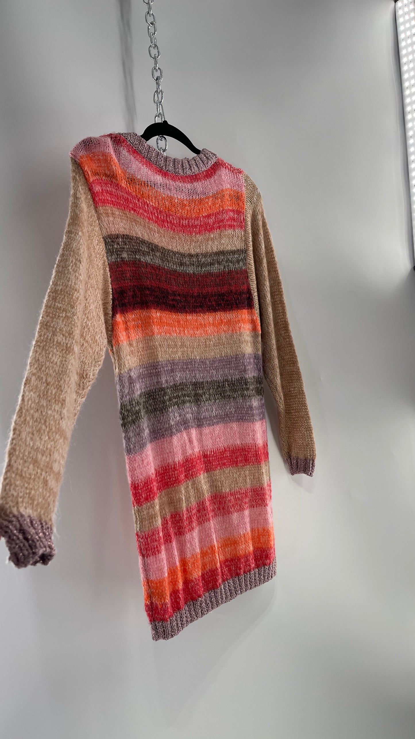 Free People Striped Sweater with Glitter Knit Cuffs and Collar (XS)