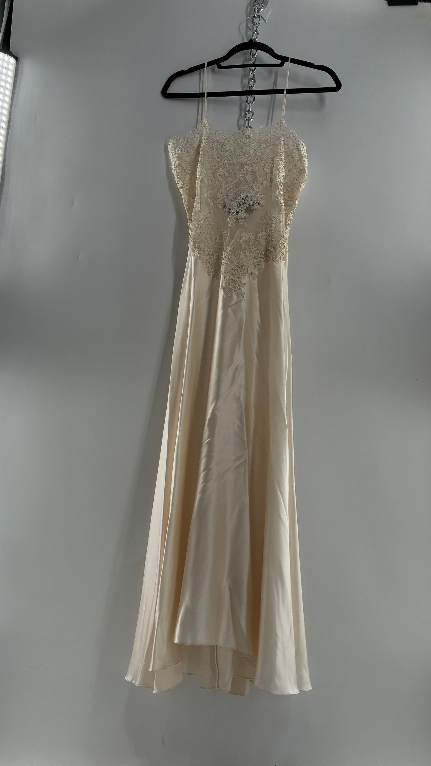 Vintage JONQUIL 100% Silk Gown with Heavy Lace Appliqués and Low Cut Sheer Back (Medium)