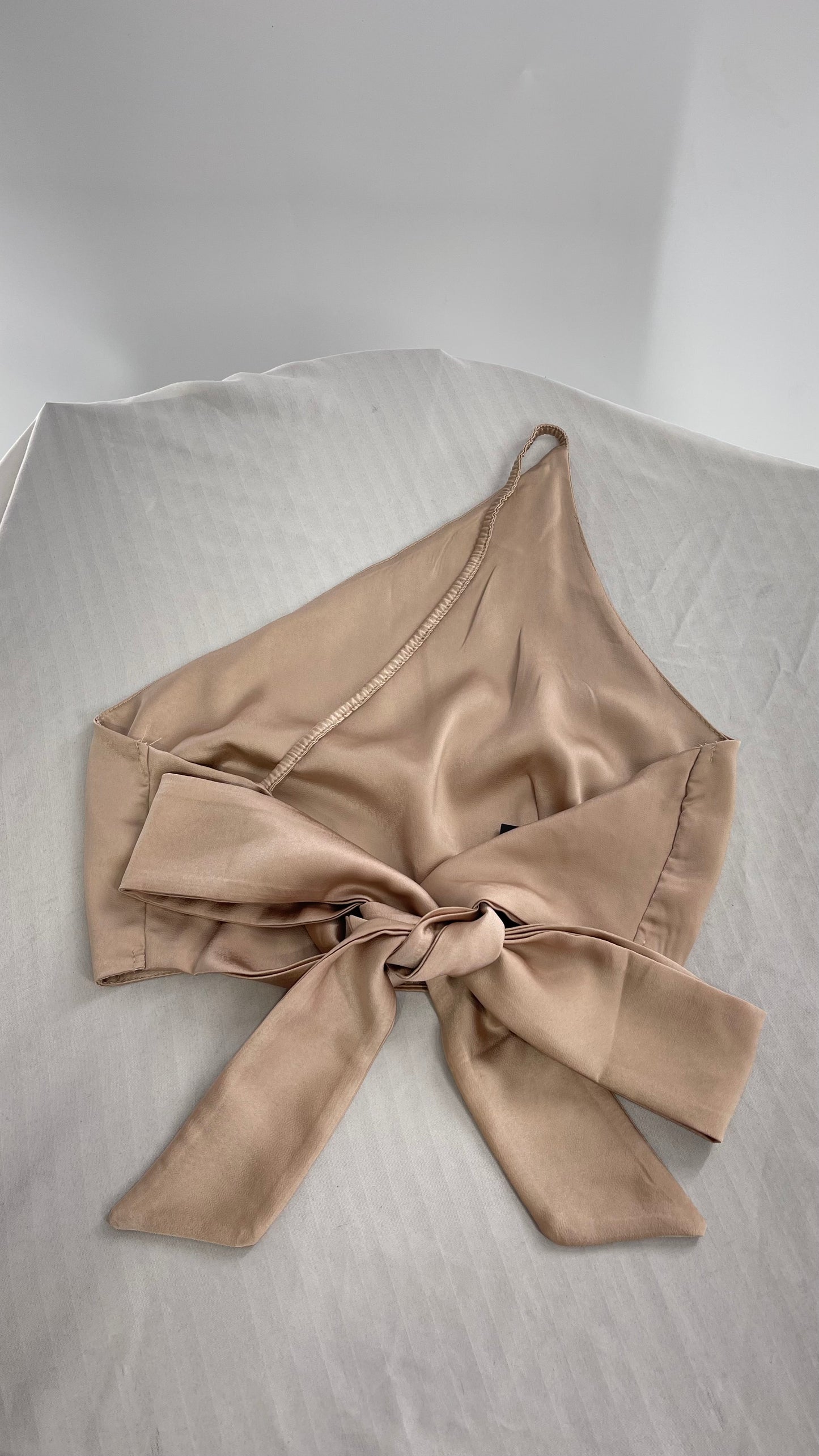 NIAY Silky Champagne Backless Bow Back Sleeveless Top (Small)