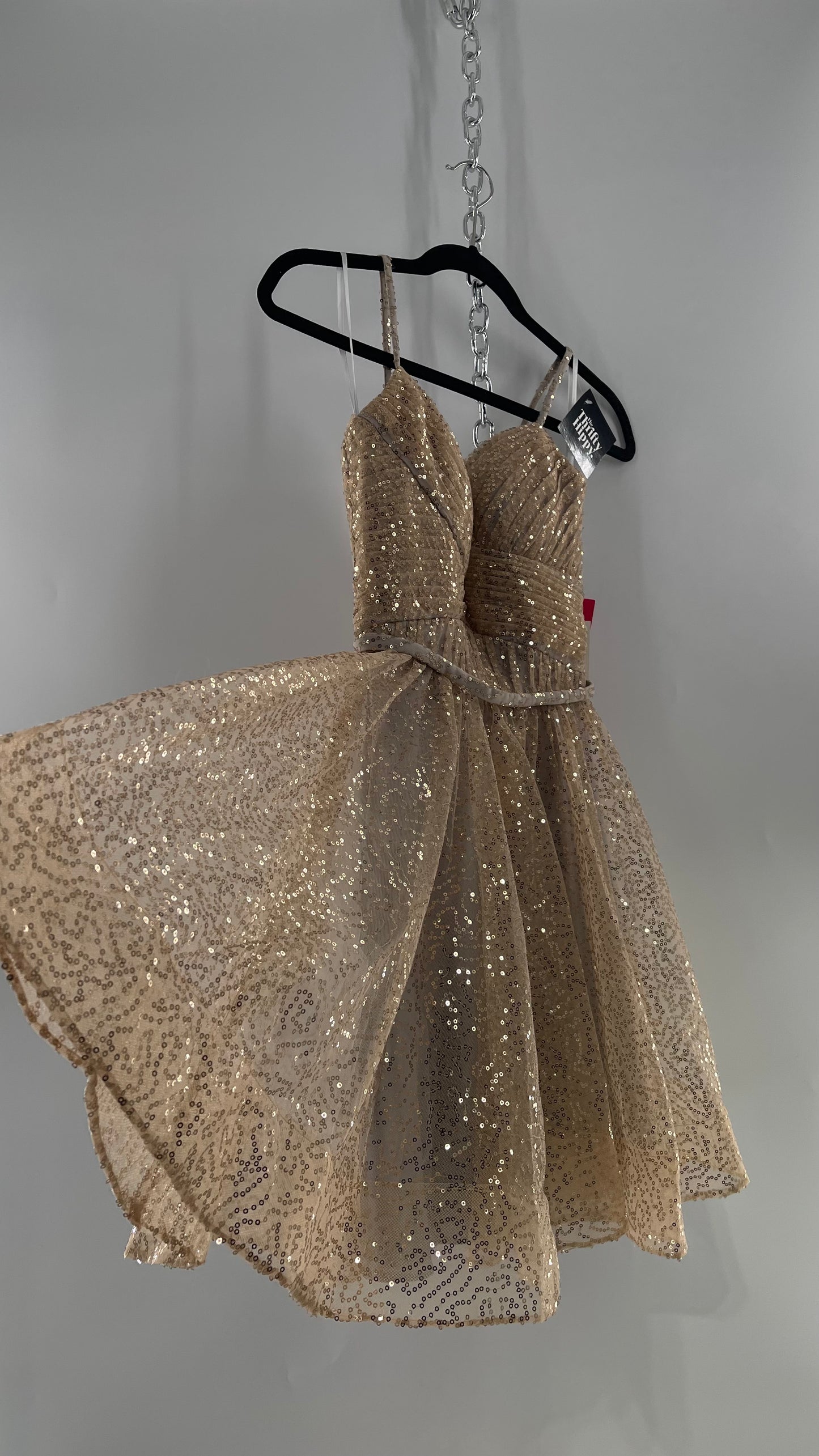 Terani Couture 1922H0420 Sleeveless Gold Sequin Tutu Dress with Ruched Corset Body (0)