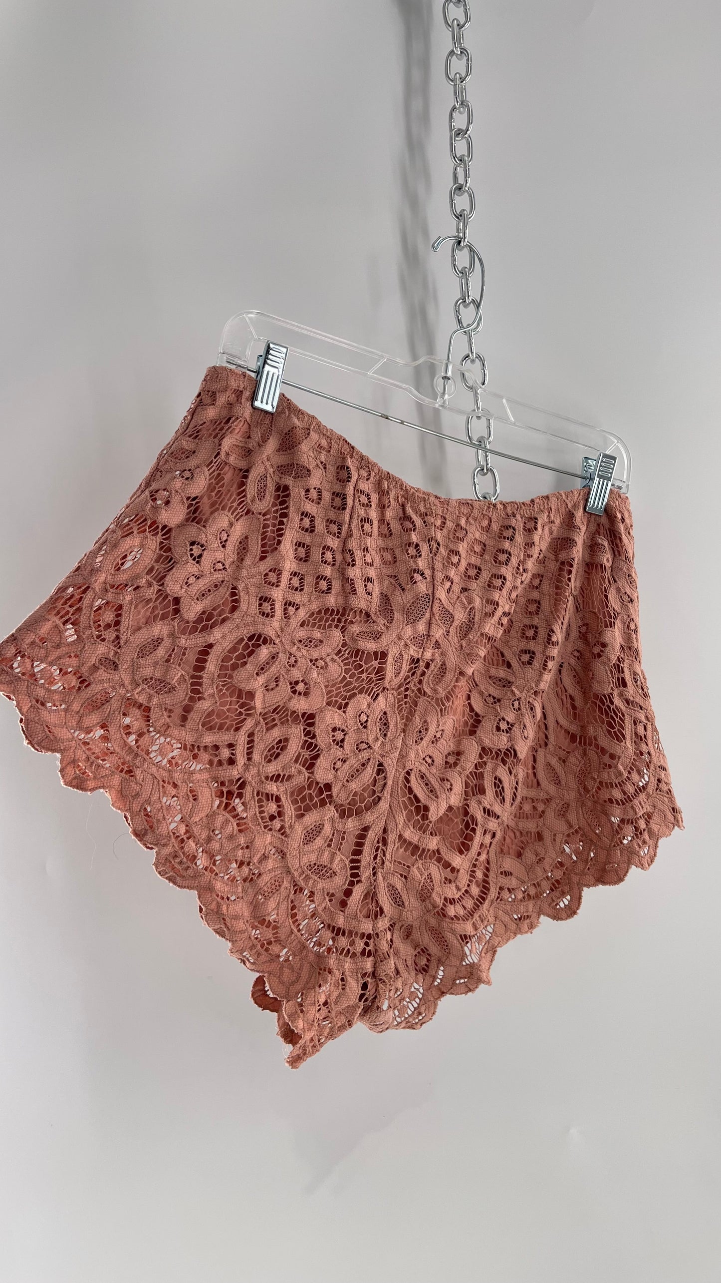 Intimately Free People Dusty Pink Lace Shorts (Large)