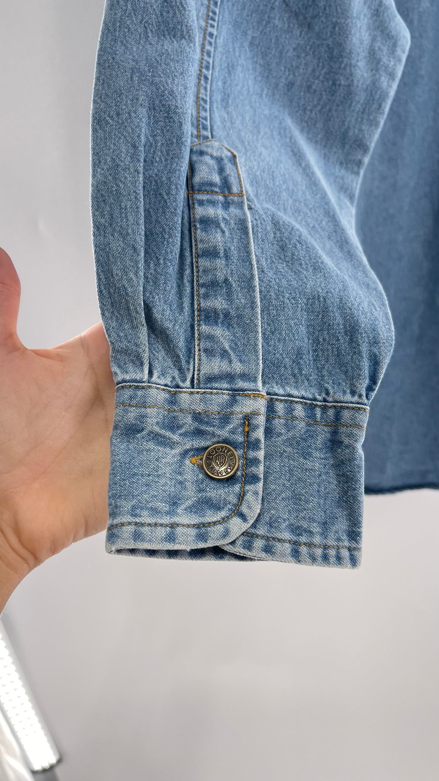 Deadstock Vintage Warner Bros Looney Tunes Denim Longsleeve with Embroidered Taz Pocket (XS/S)