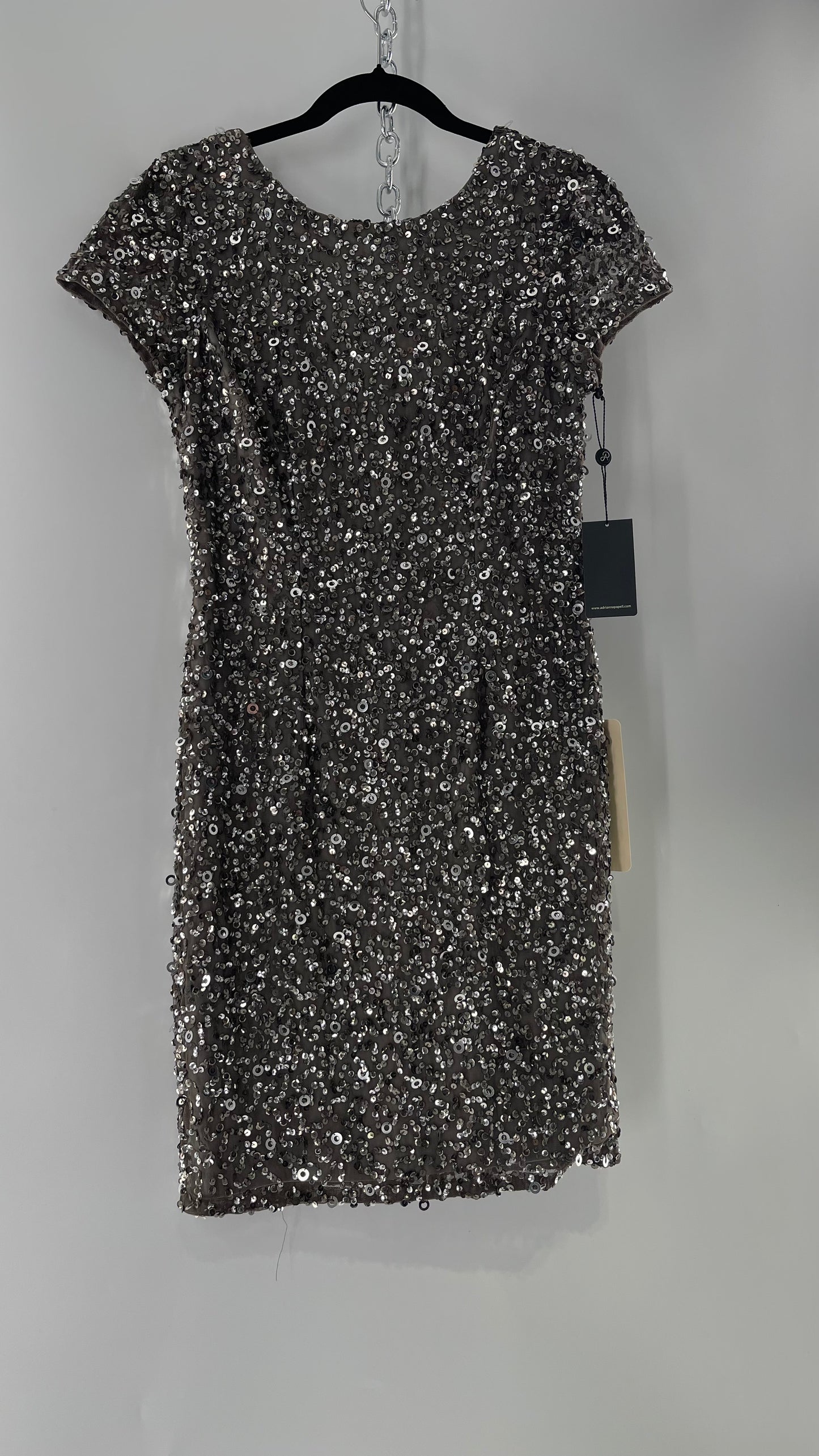 Adriana Papell Grey/Silver Short Sleeve Mini Dress Covered in Beads and Sequins (6)