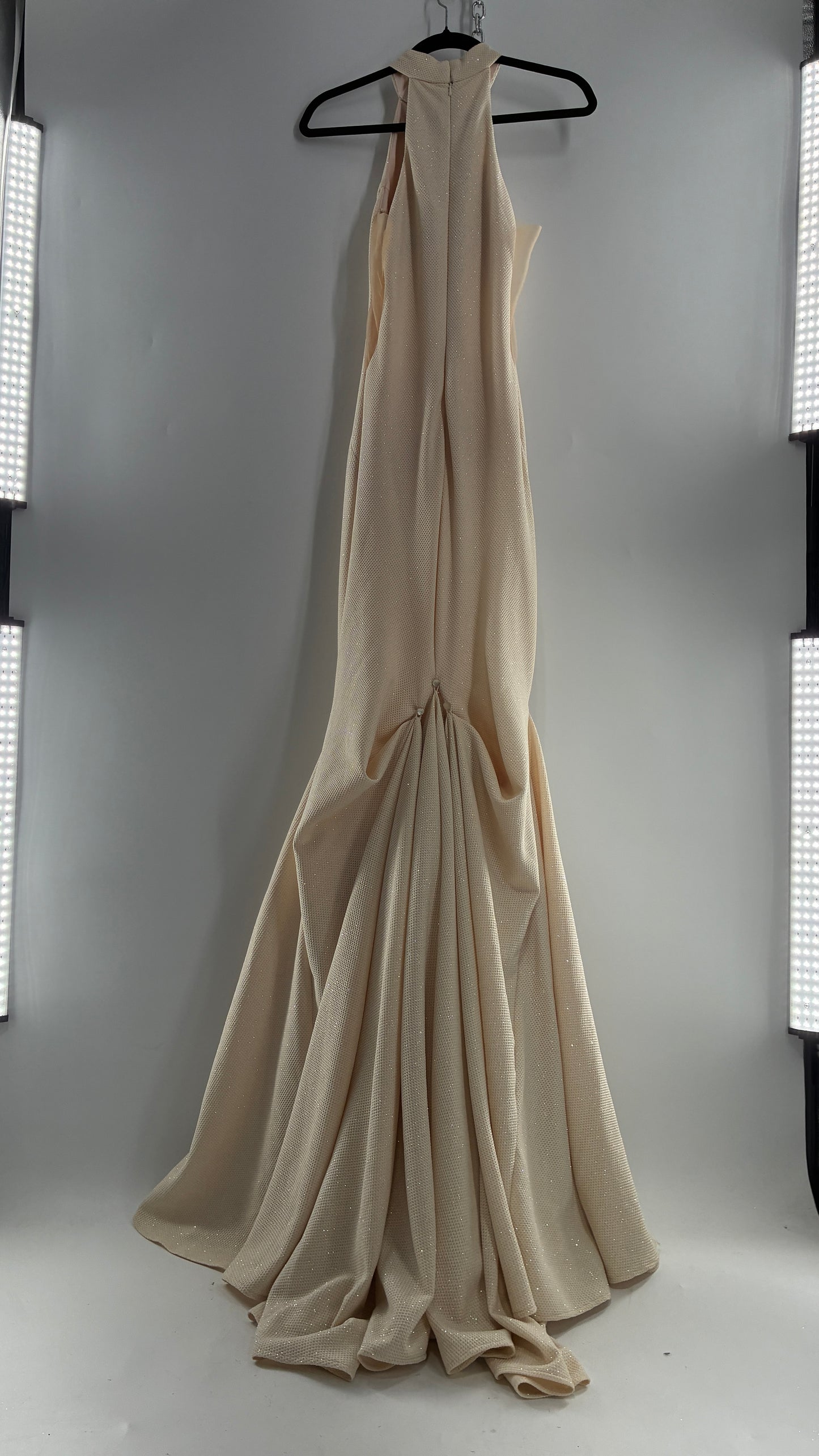 Vintage JOVANI Ivory Glittery Full Length Gown with Sheer Side Panels, Hourglass Illusion, and Pin Up Train (8)