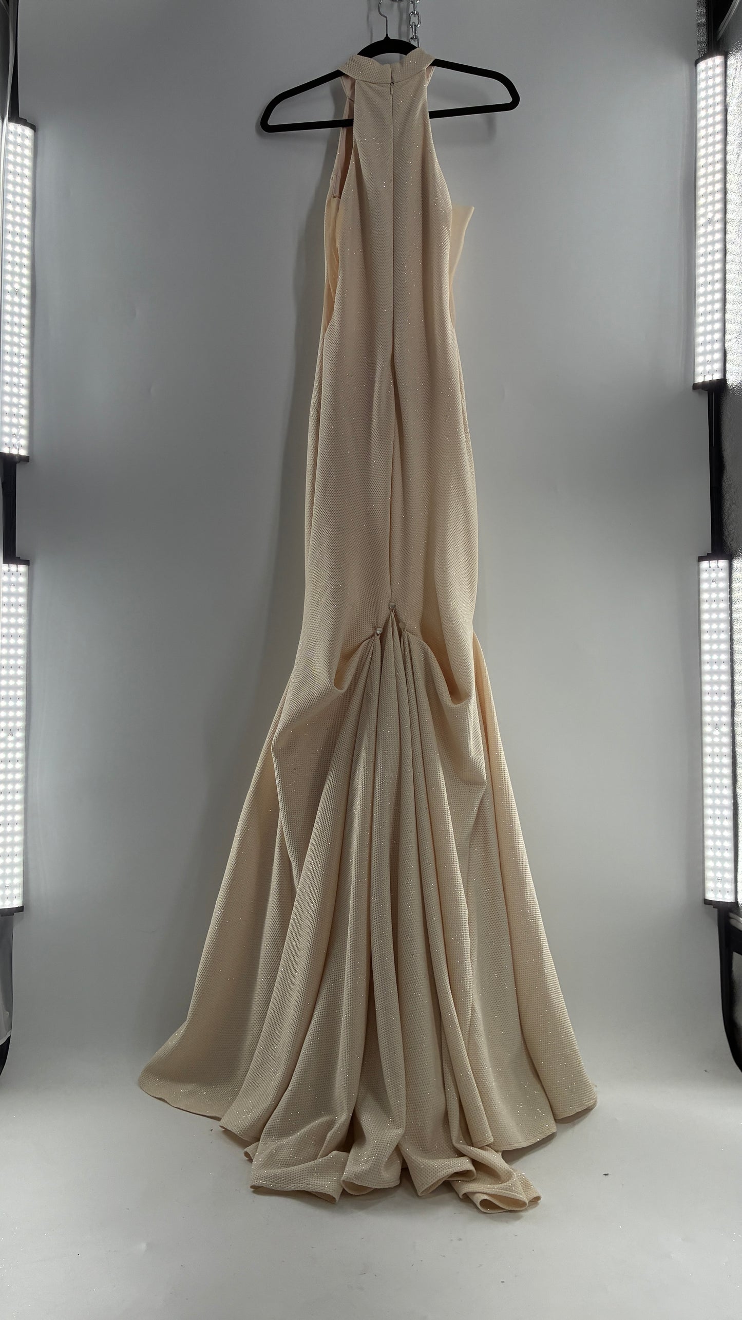 Vintage JOVANI Ivory Glittery Full Length Gown with Sheer Side Panels, Hourglass Illusion, and Pin Up Train (8)
