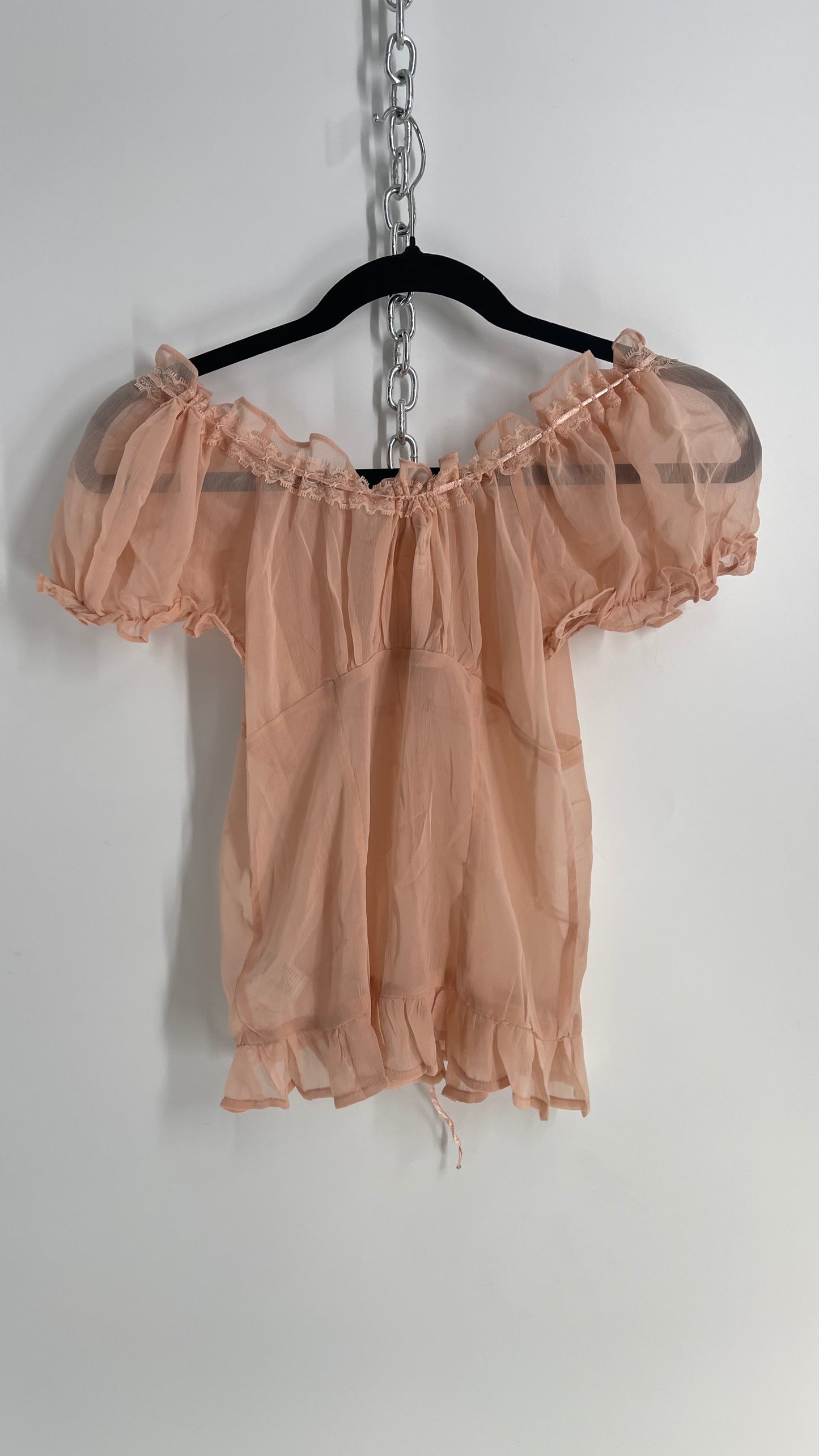 Urban Outfitters Dusty Pink Sheer Puff Sleeve Button Front Blouse (Large)