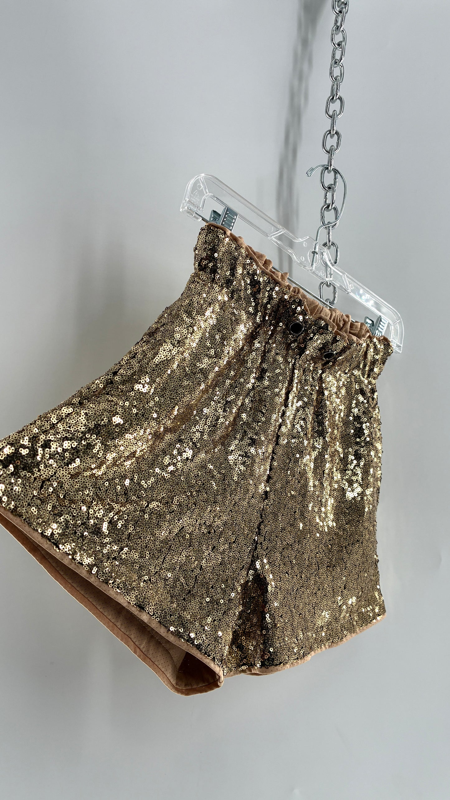 Gold Sequin Shorts with Tan Mesh Lining (Small)