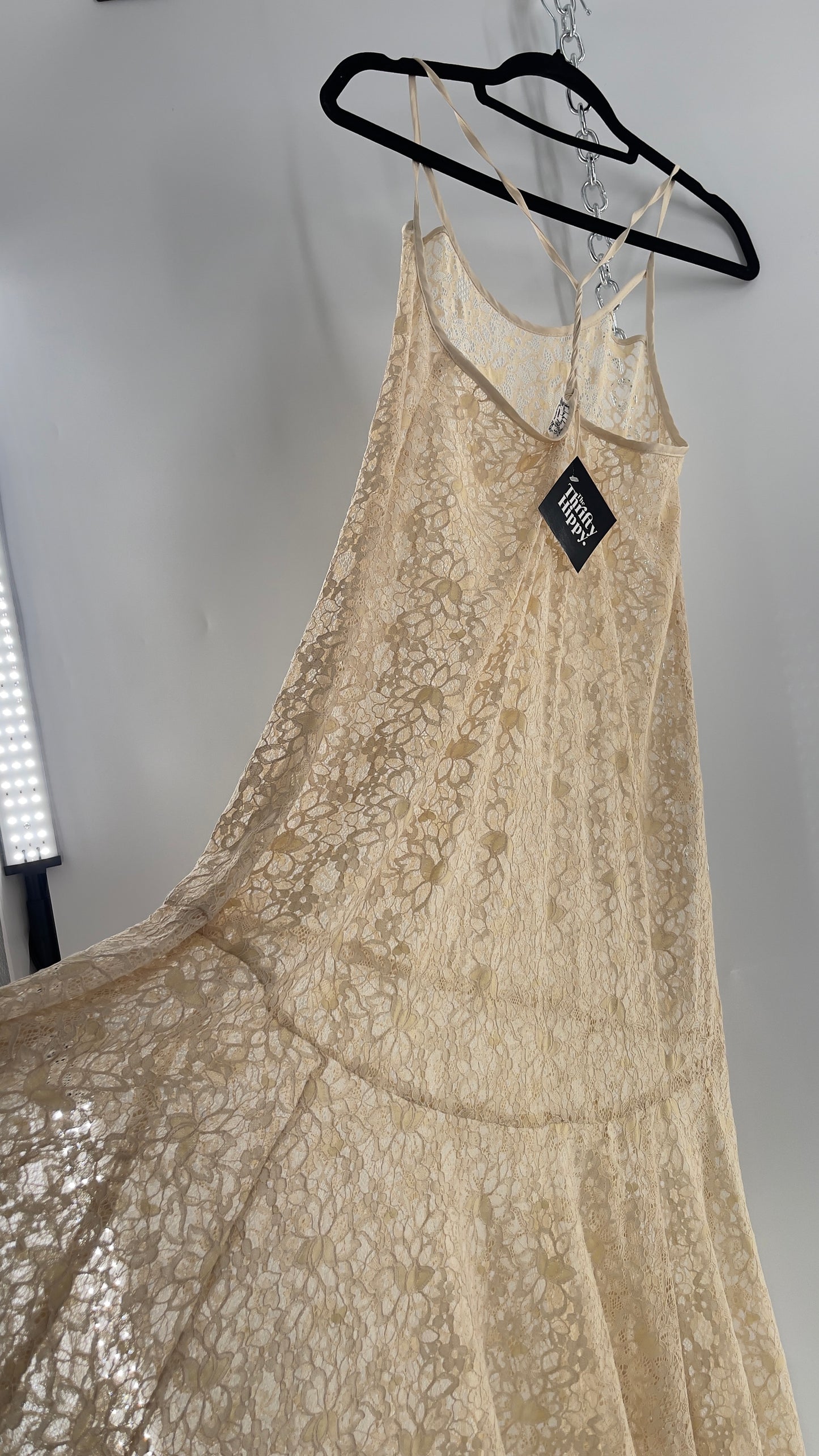 Intimately Free People Beige Lace Slip Maxi Dress (XS)