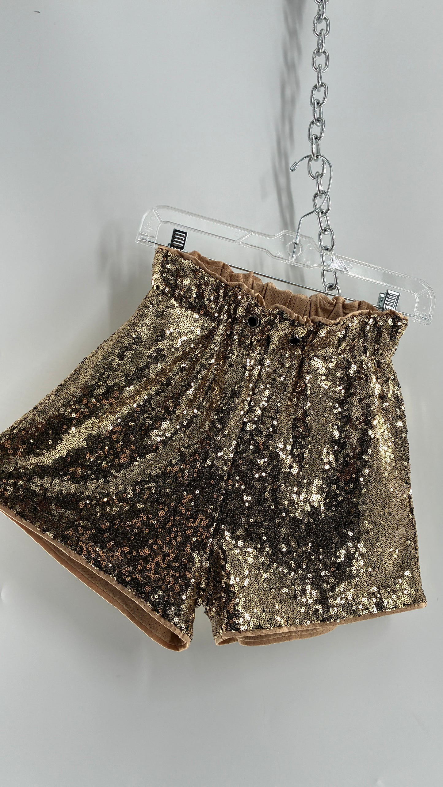 Gold Sequin Shorts with Tan Mesh Lining (Small)