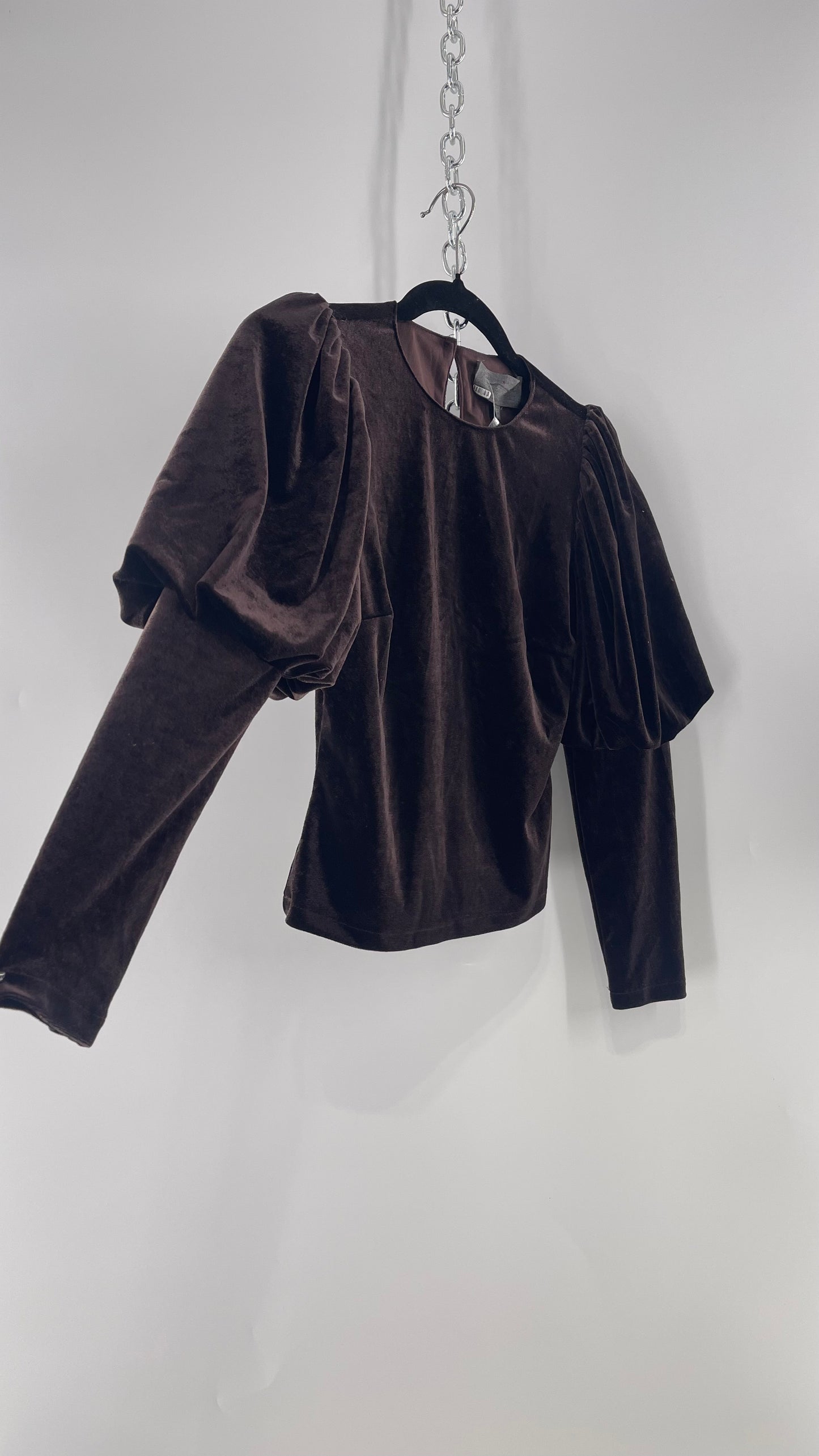 Anthropologie Sundays in Brooklyn Dark Brown Puff Shoulder, High Neck, Juliette Sleeve Blouse (XXSP)