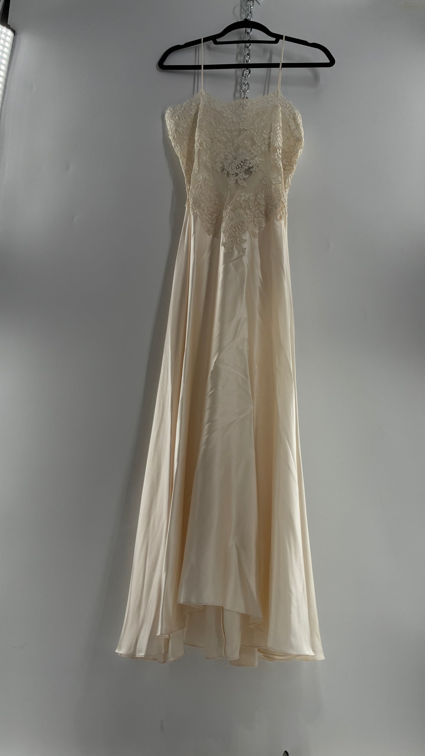 Vintage JONQUIL 100% Silk Gown with Heavy Lace Appliqués and Low Cut Sheer Back (Medium)
