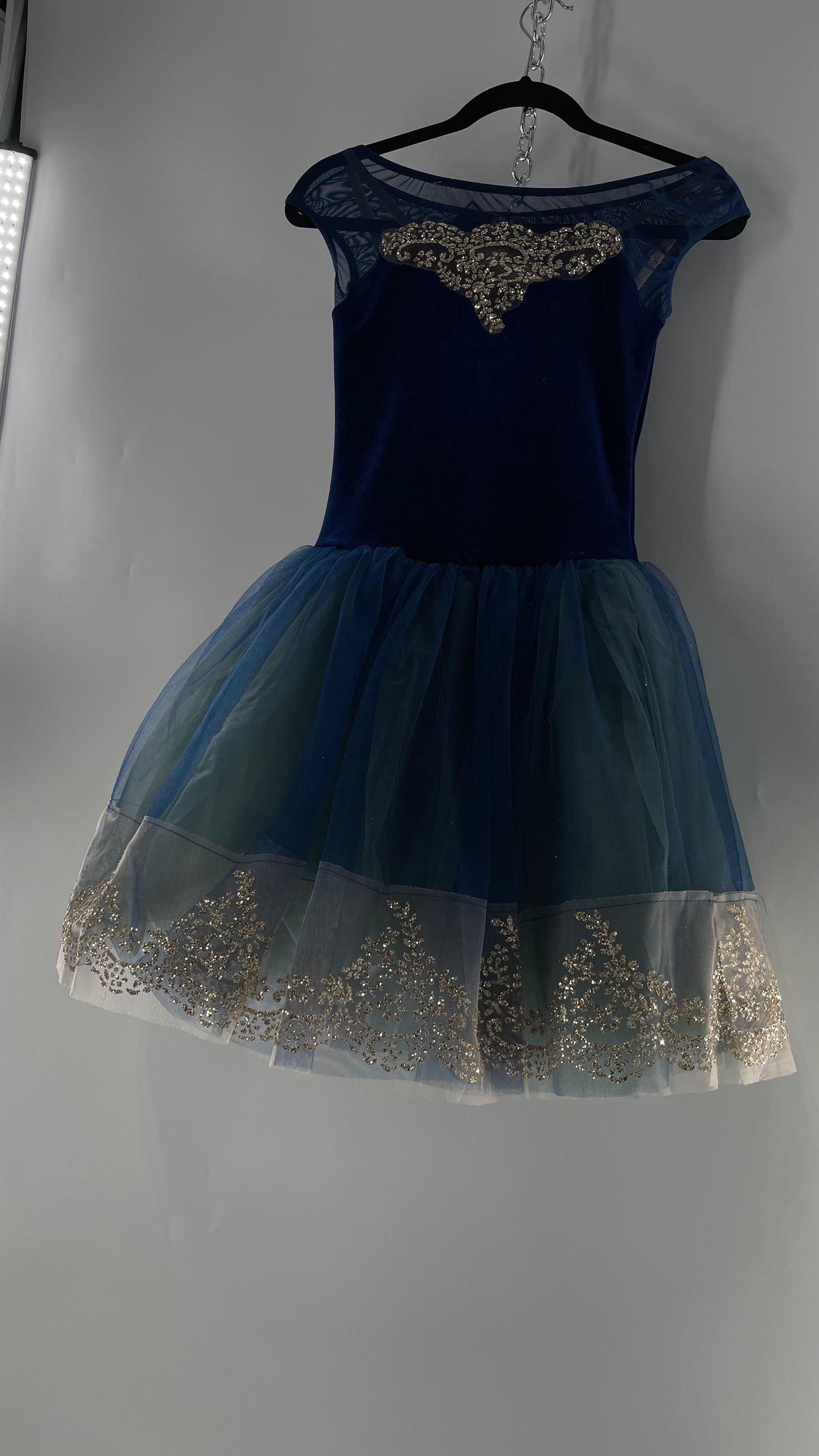 Midnight Muse Navy and Teal Mesh Tutu Skirt with Gold Glitter Hem Detailing (Medium)