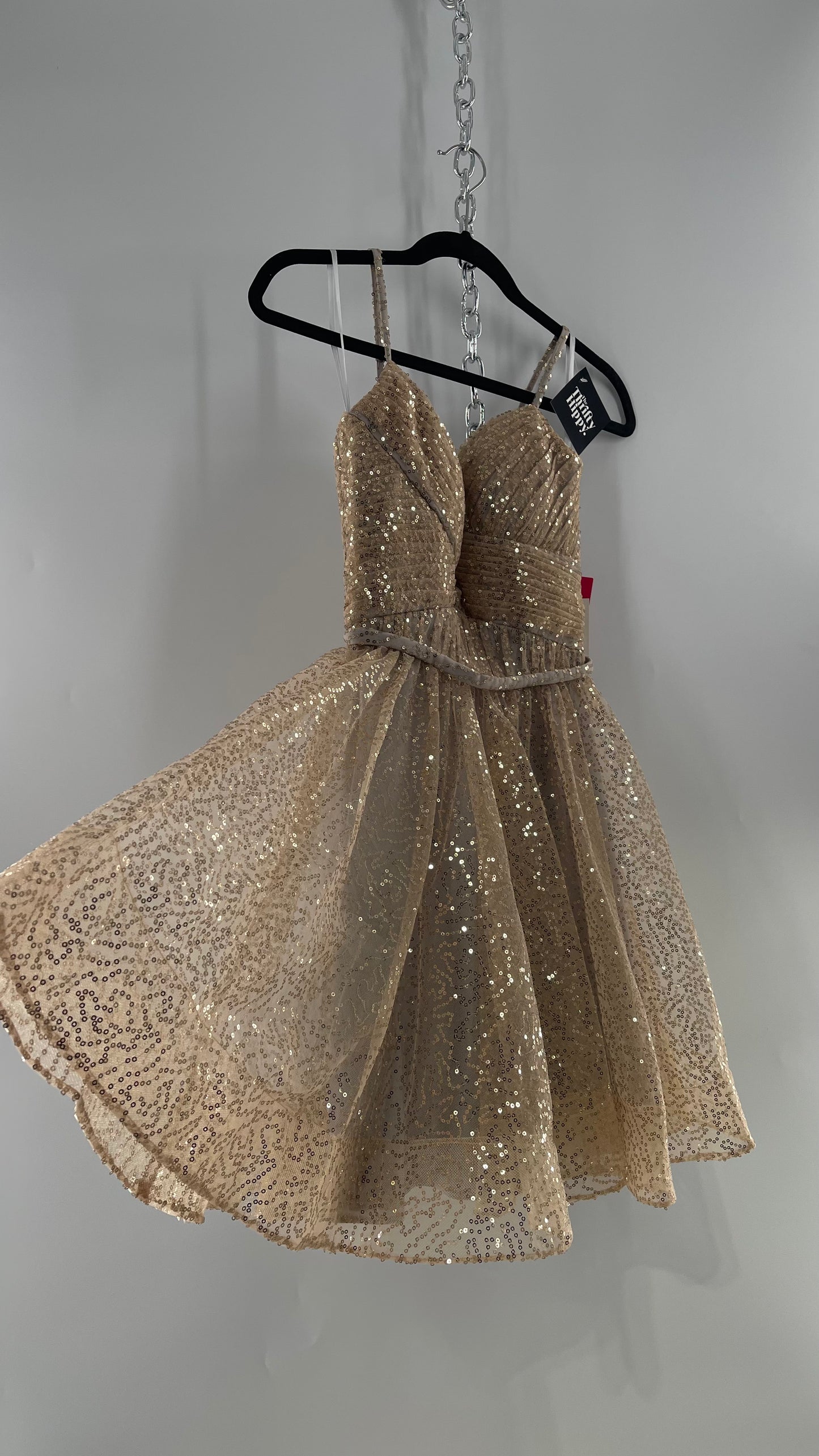 Terani Couture 1922H0420 Sleeveless Gold Sequin Tutu Dress with Ruched Corset Body (0)