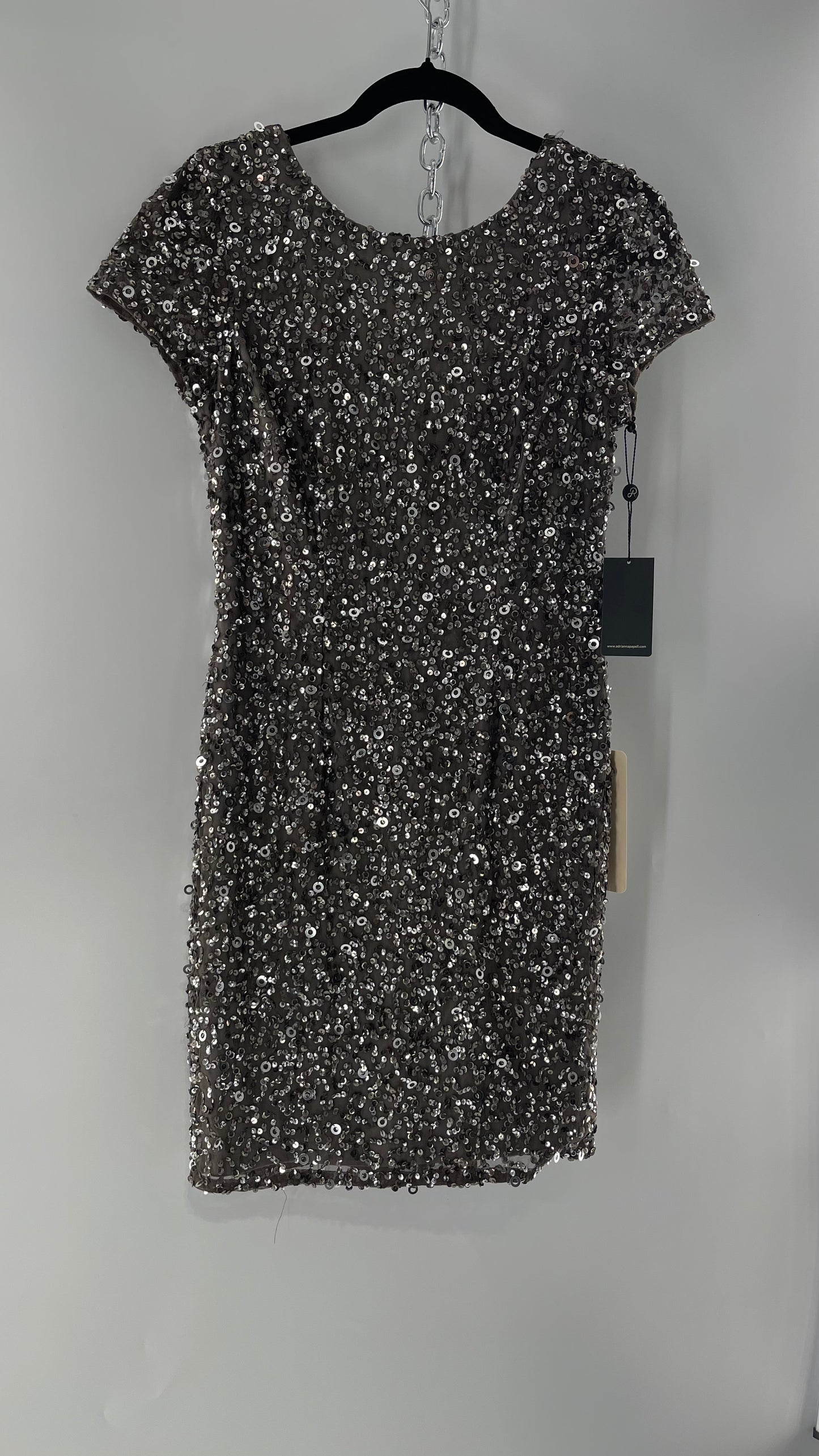 Adriana Papell Grey/Silver Short Sleeve Mini Dress Covered in Beads and Sequins (6)