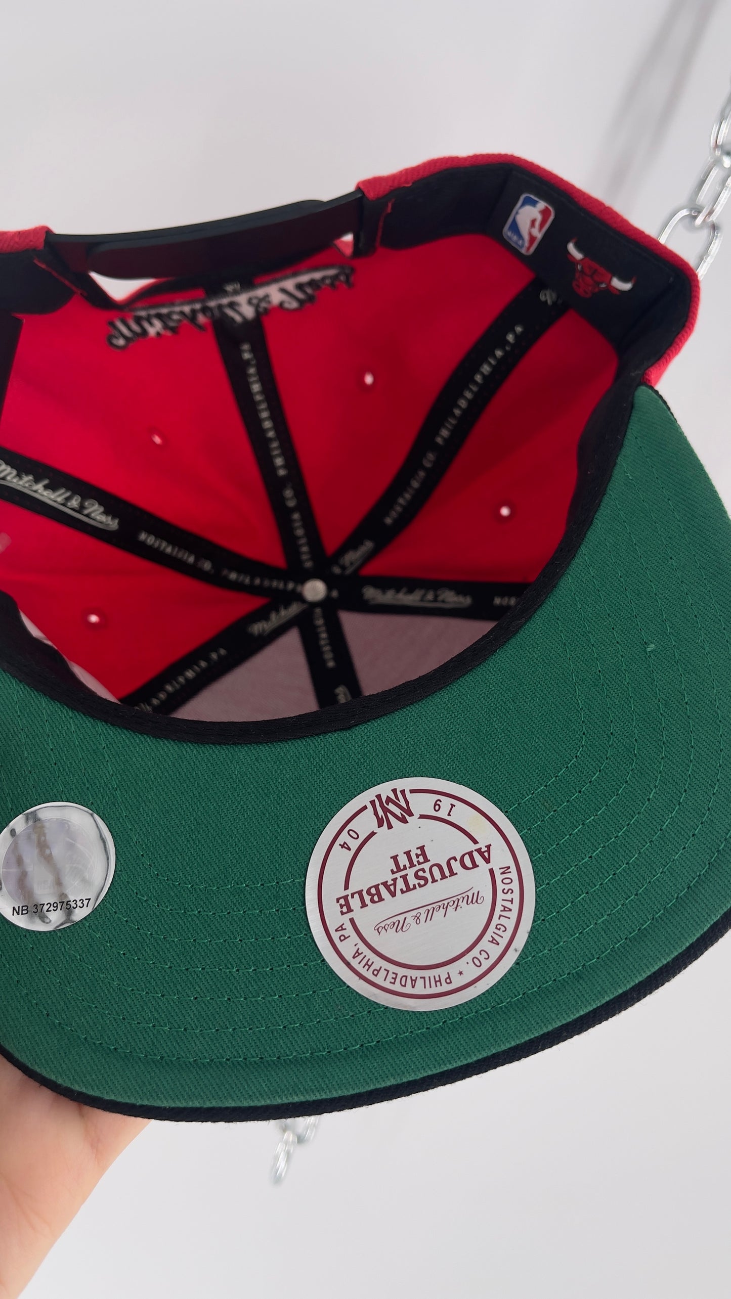 Mitchell and Ness Chicago Bulls Embroidered Snap Back