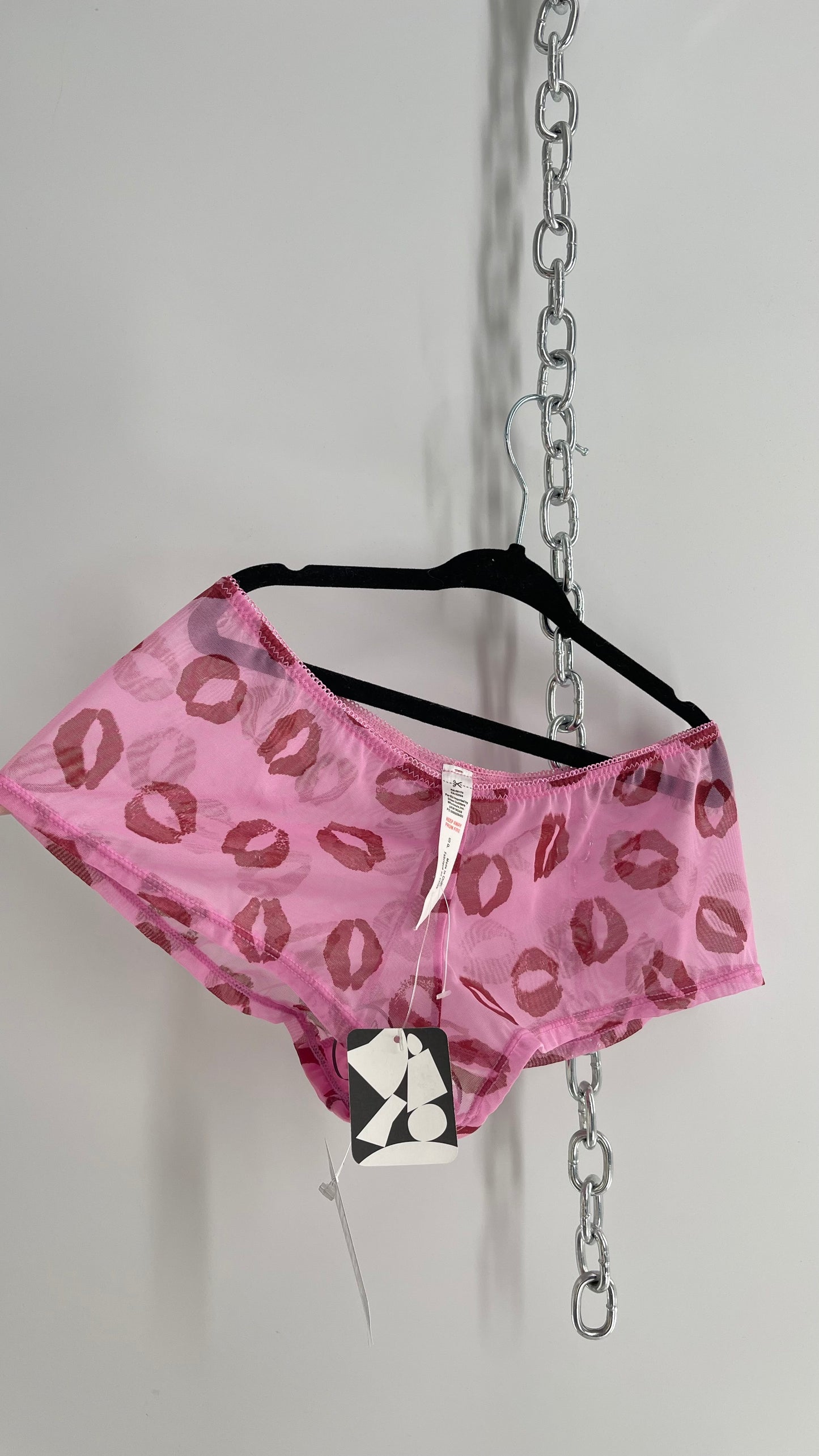 Urban Outfitters Pink Mesh Kiss Graphic Cheeky Panty with Tags Attached (Small)