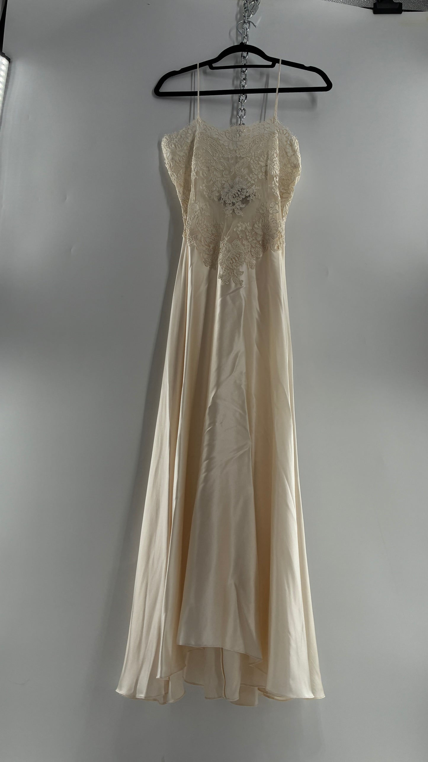 Vintage JONQUIL 100% Silk Gown with Heavy Lace Appliqués and Low Cut Sheer Back (Medium)