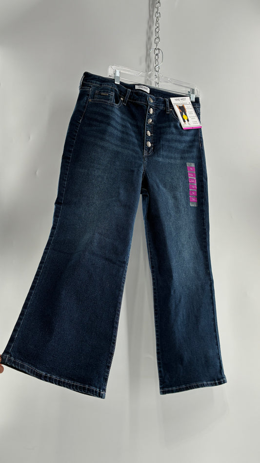 NINE WEST Cropped Button Front Jeans (16)
