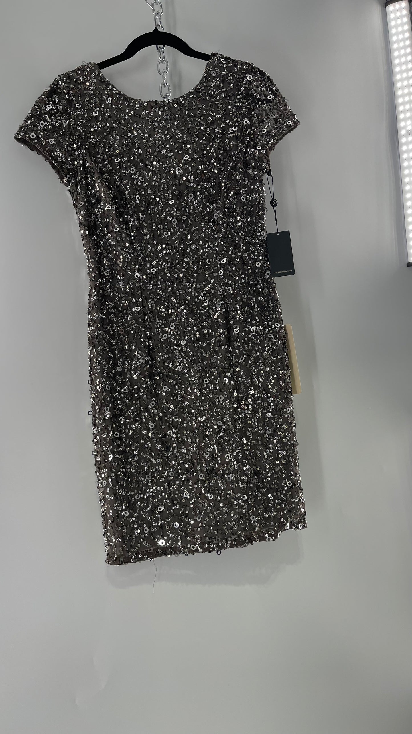 Adriana Papell Grey/Silver Short Sleeve Mini Dress Covered in Beads and Sequins (6)