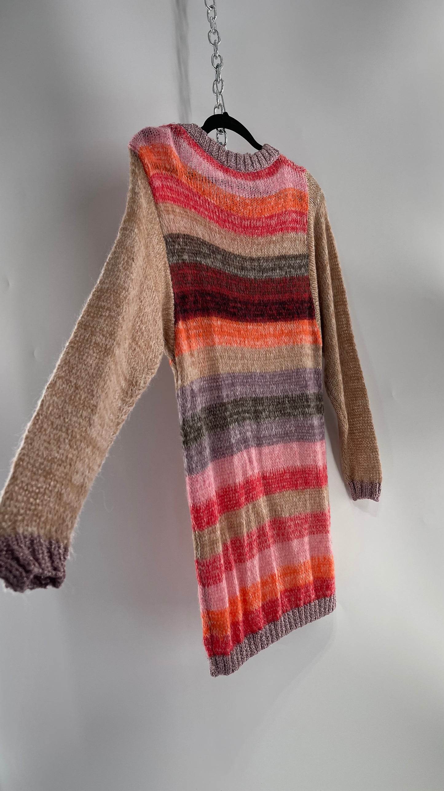 Free People Striped Sweater with Glitter Knit Cuffs and Collar (XS)