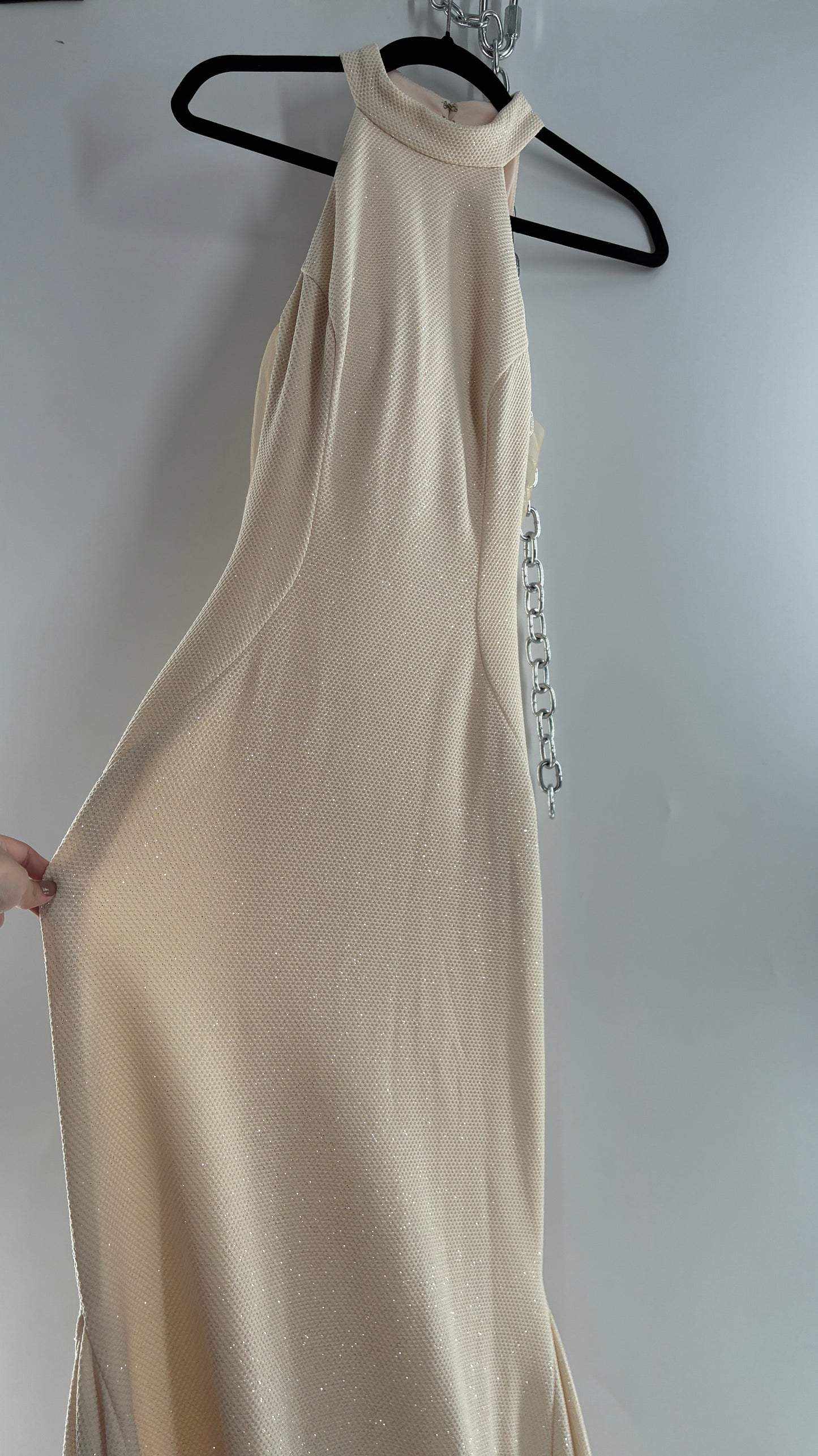 Vintage JOVANI Ivory Glittery Full Length Gown with Sheer Side Panels, Hourglass Illusion, and Pin Up Train (8)