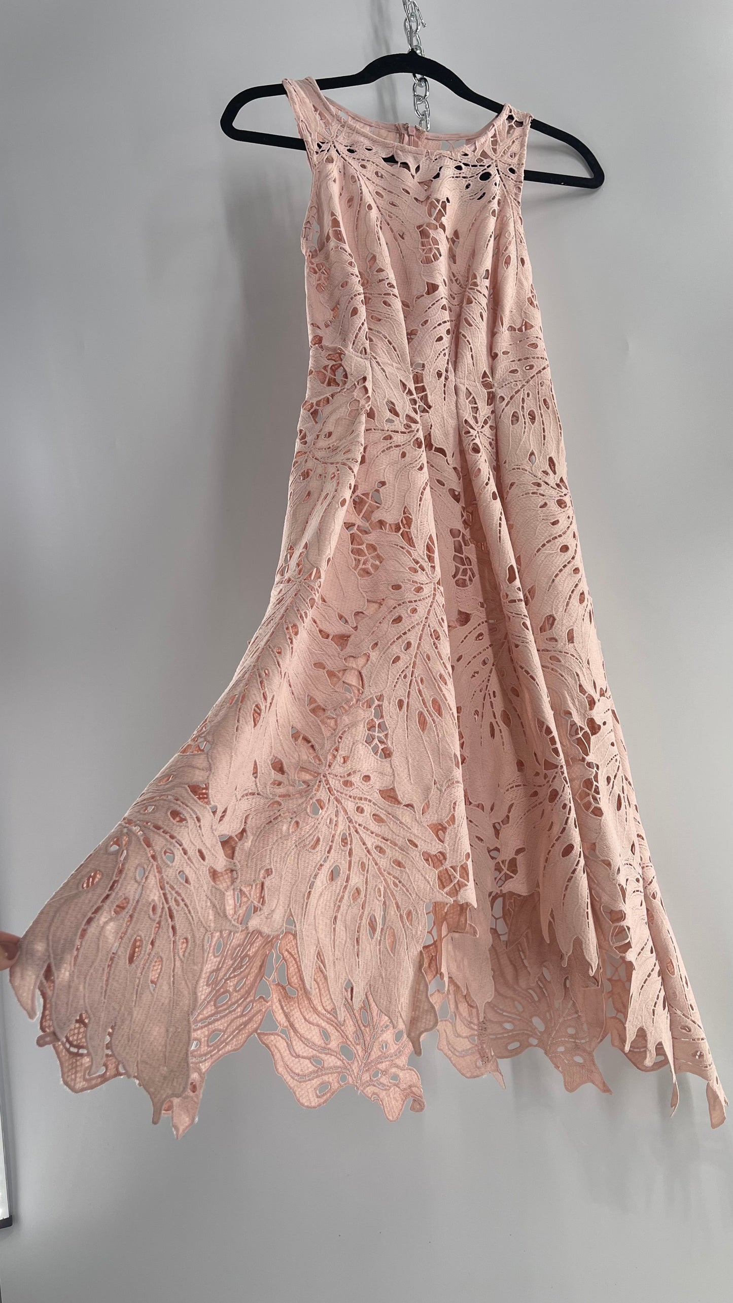 Anthropologie Eva Franco Baby Pink Completely Laser Cut Lace Palm Leaf Knee High Dress (2)