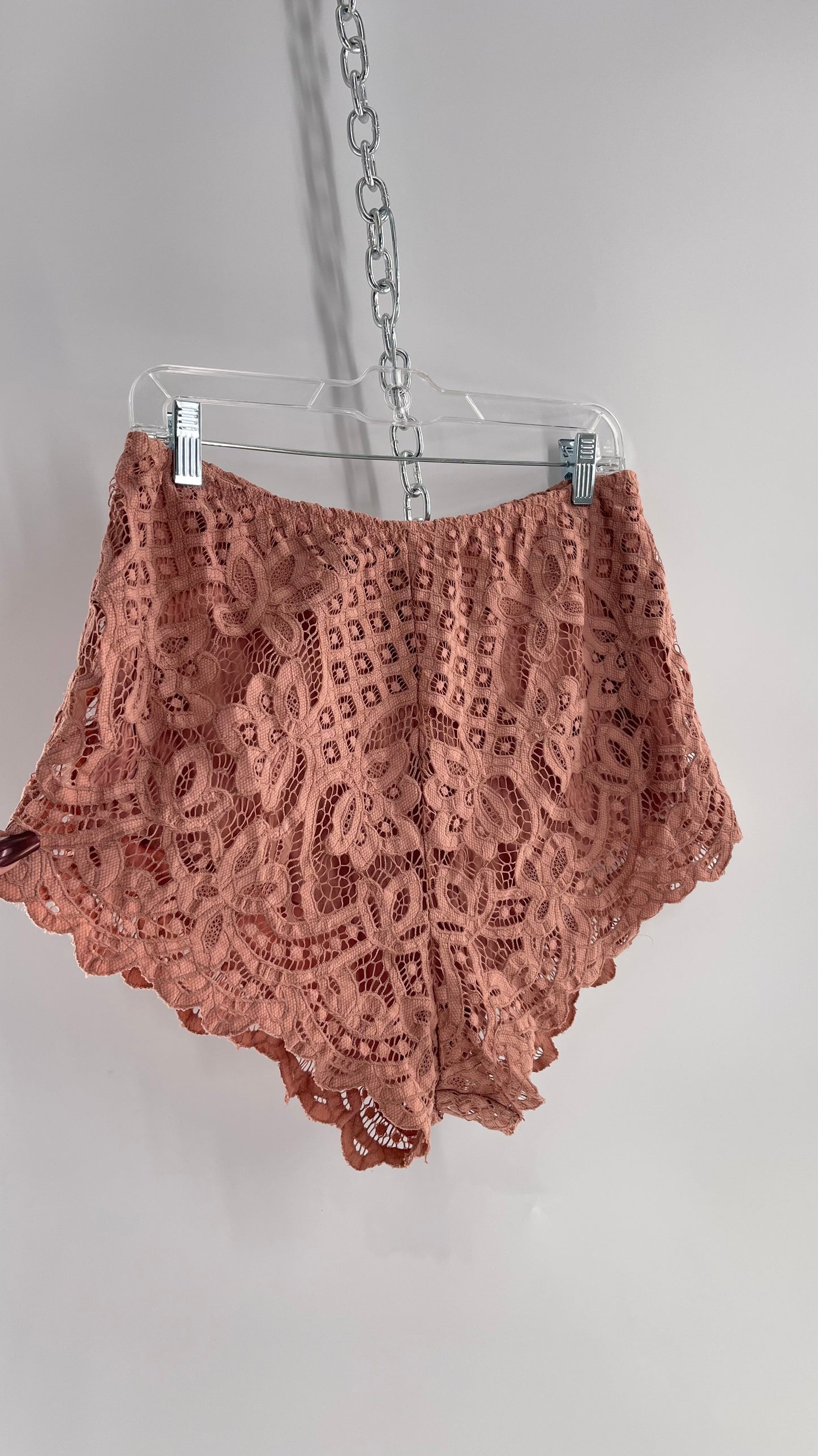 Intimately Free People Dusty Pink Lace Shorts (Large)