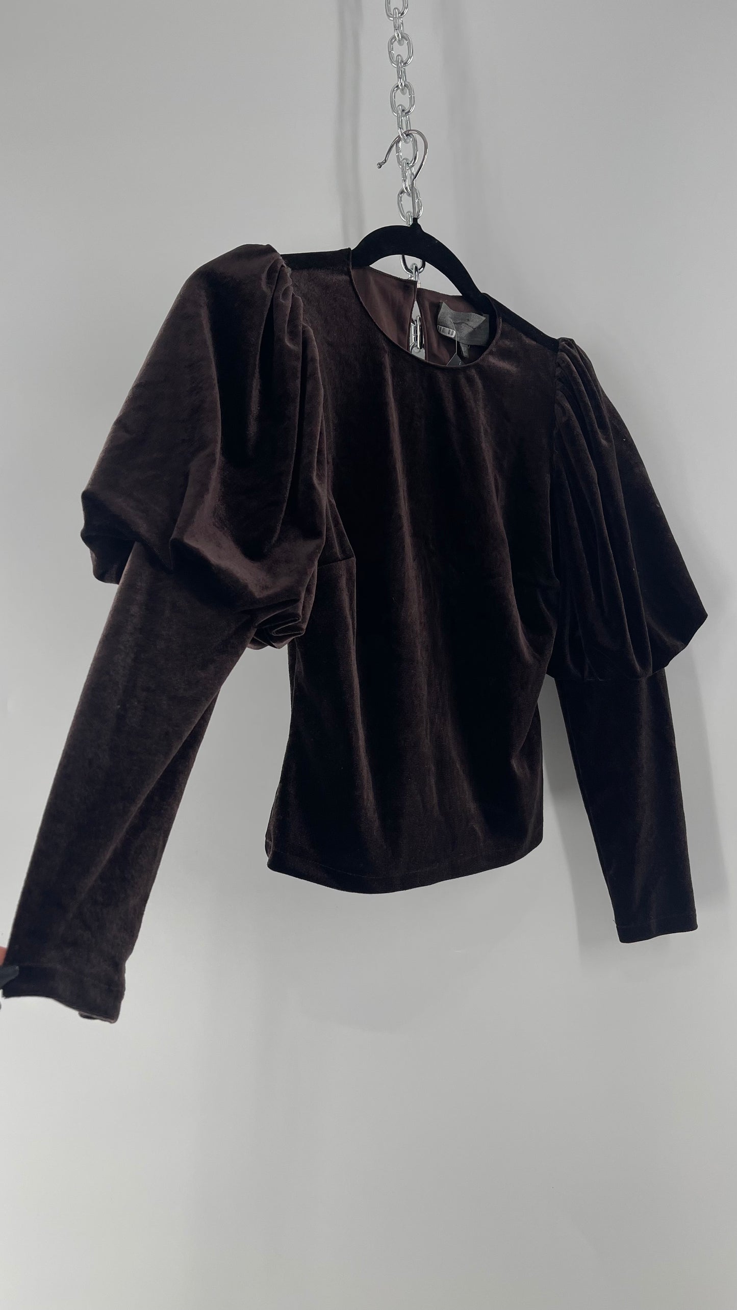 Anthropologie Sundays in Brooklyn Dark Brown Puff Shoulder, High Neck, Juliette Sleeve Blouse (XXSP)