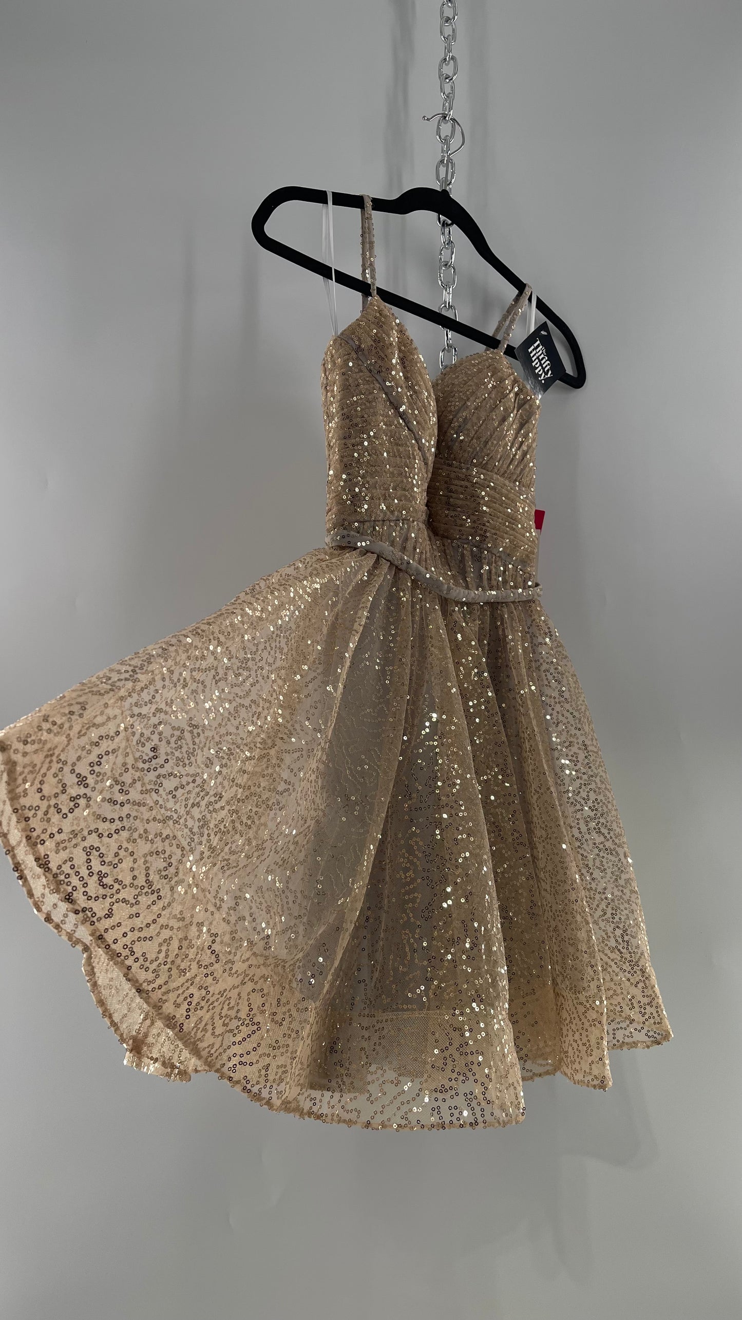Terani Couture 1922H0420 Sleeveless Gold Sequin Tutu Dress with Ruched Corset Body (0)