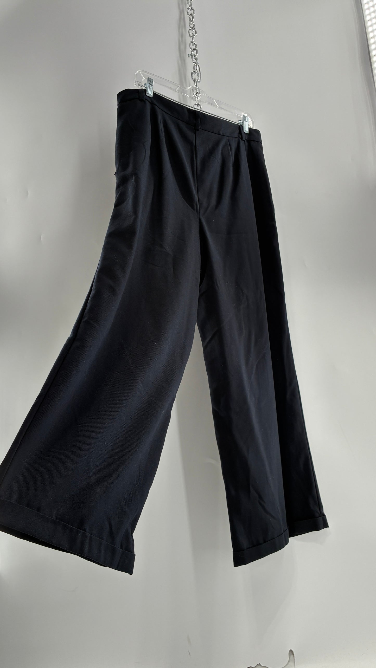 Free People Black Wide Leg, Pleated Trouser with Tags Attached (10)