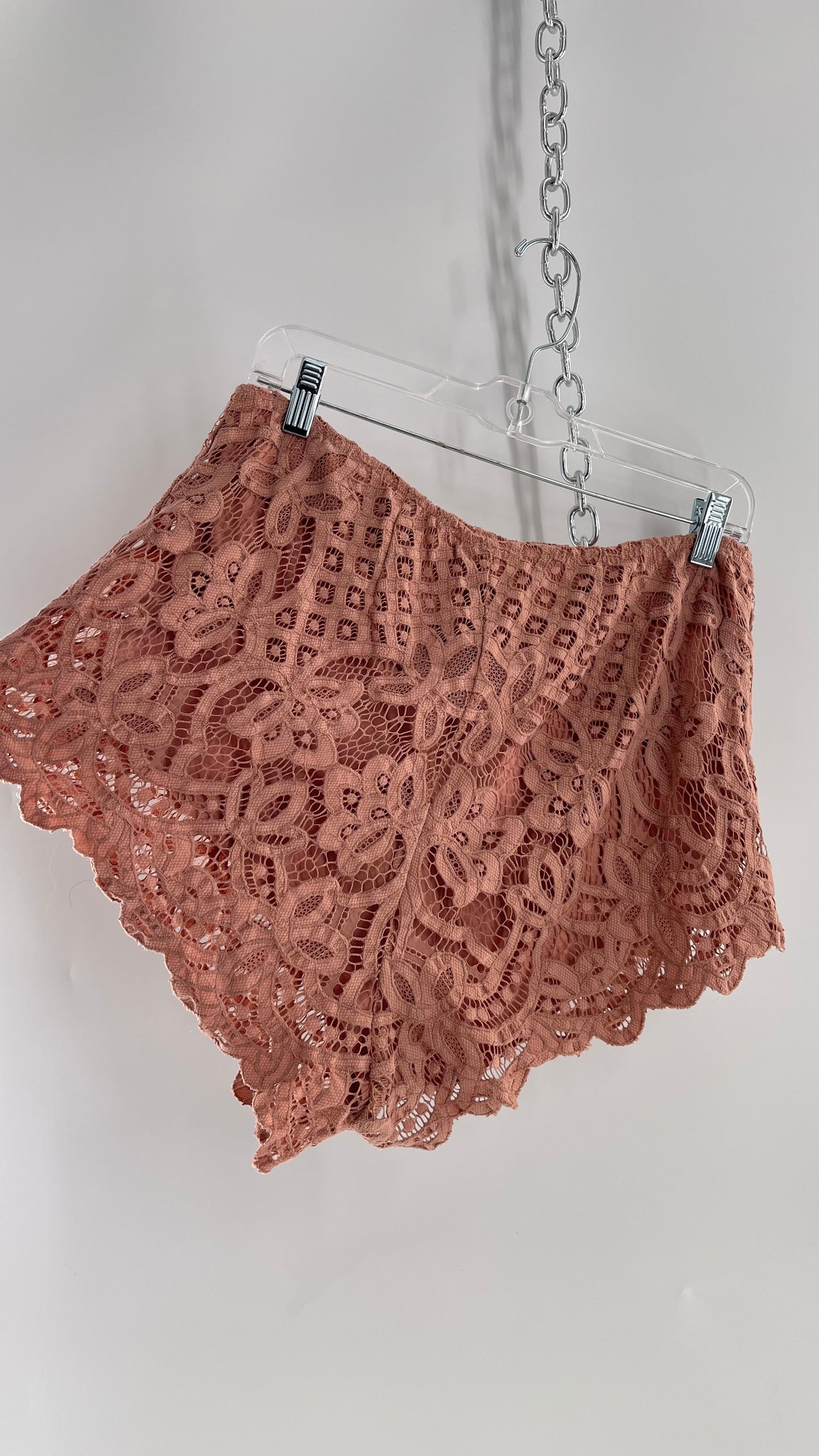 Intimately Free People Dusty Pink Lace Shorts (Large)