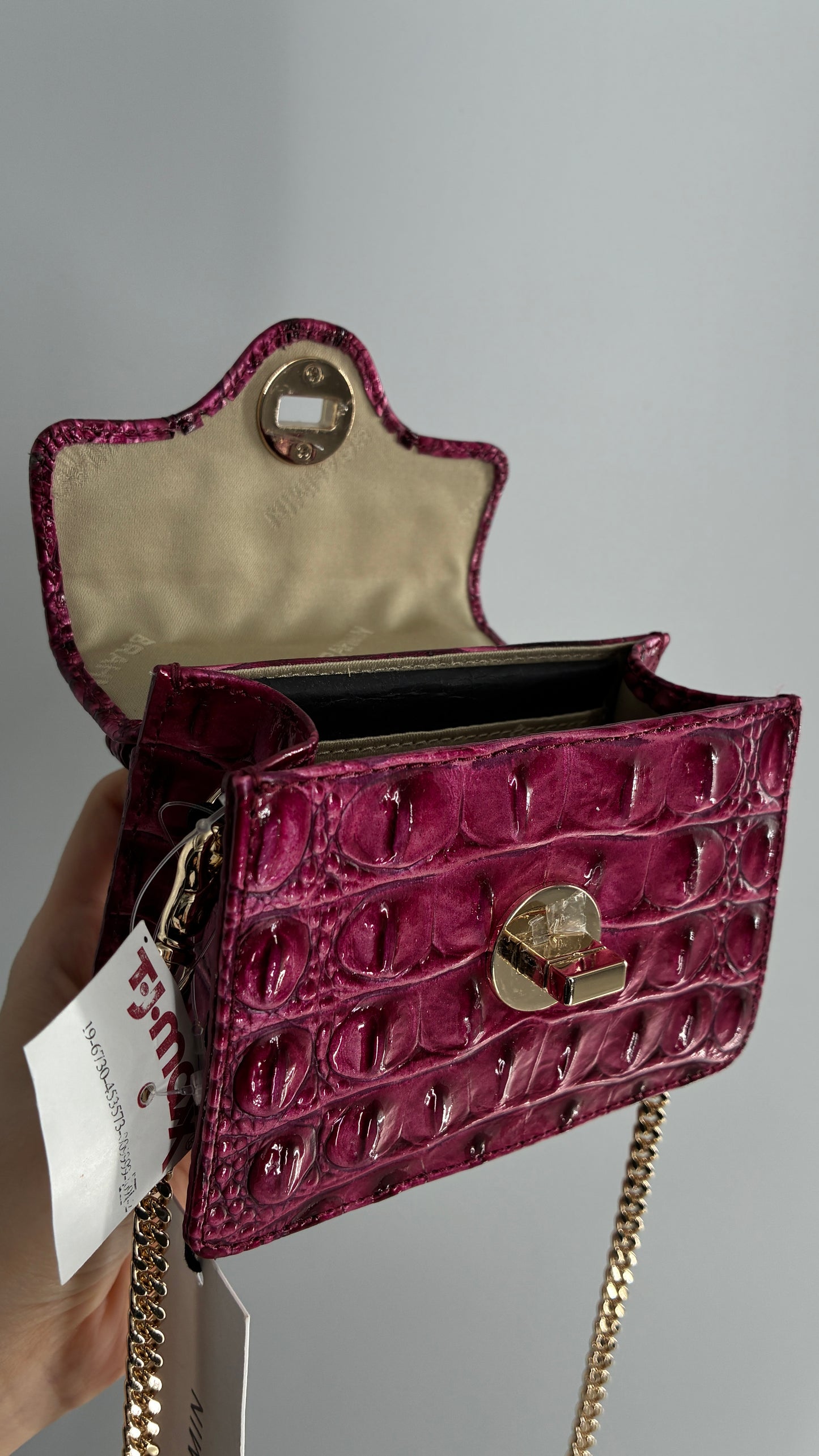 BRAHMIN Arietta Pomegranate Melbourne Mini Purse with Tags Attached, Gold Crossbody Chain and Authentication