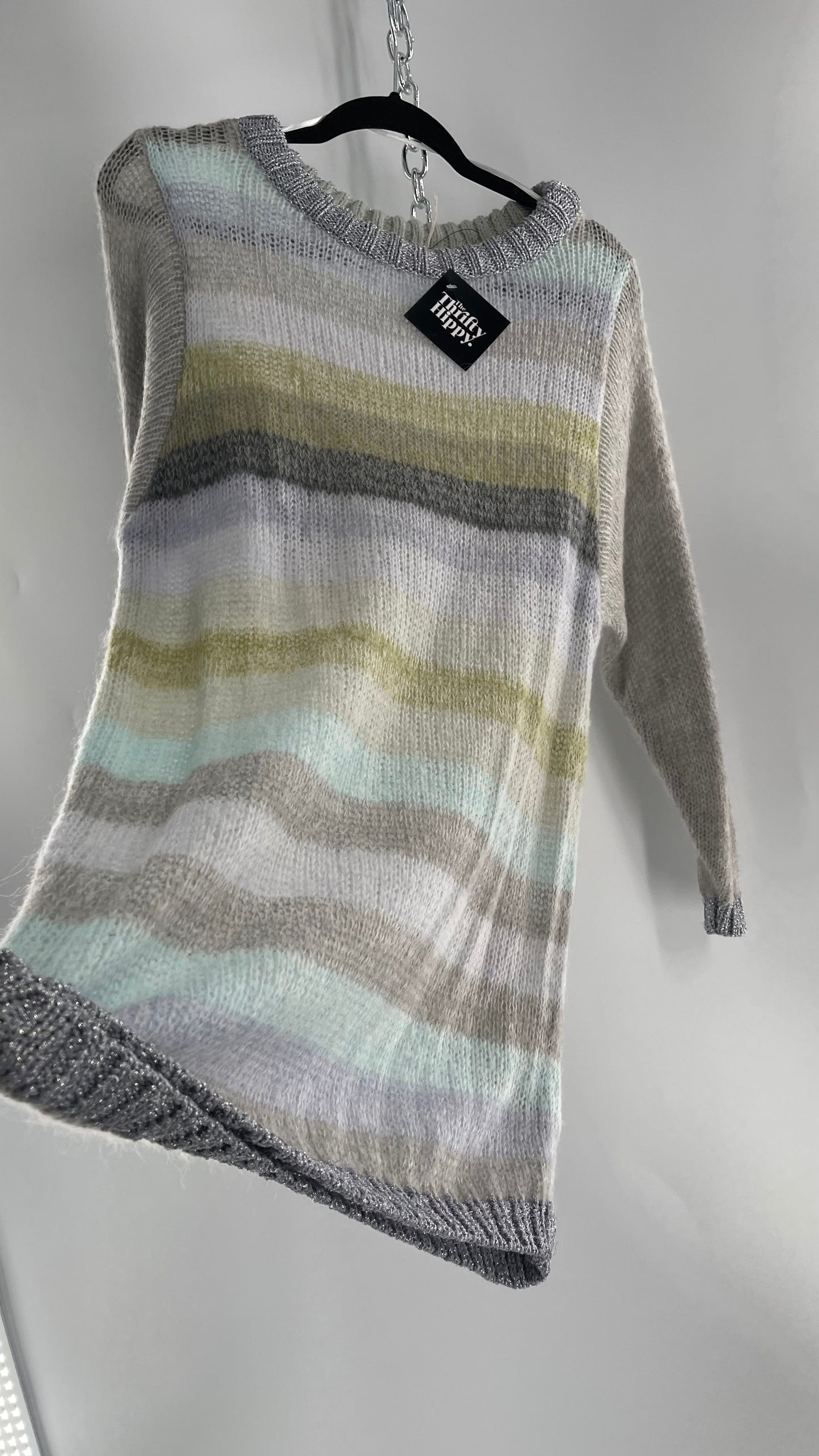 Free People Striped Sweater with Glitter Knit Cuffs and Collar (XS)
