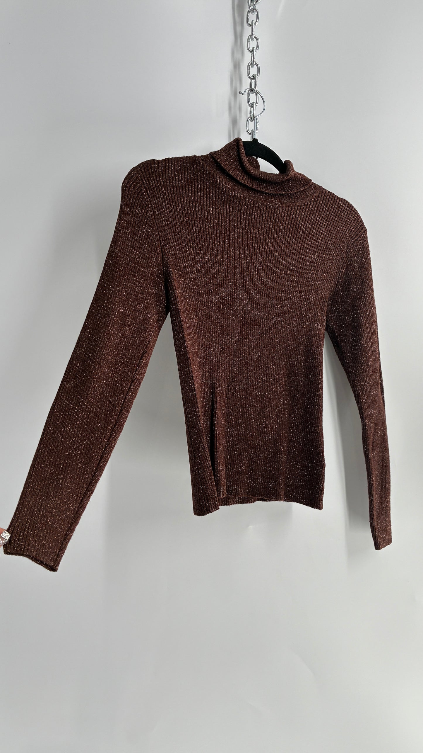 WORTHINGTON Brown Sparkle Tinsel Ribbed Knit Turtle Neck (Small)