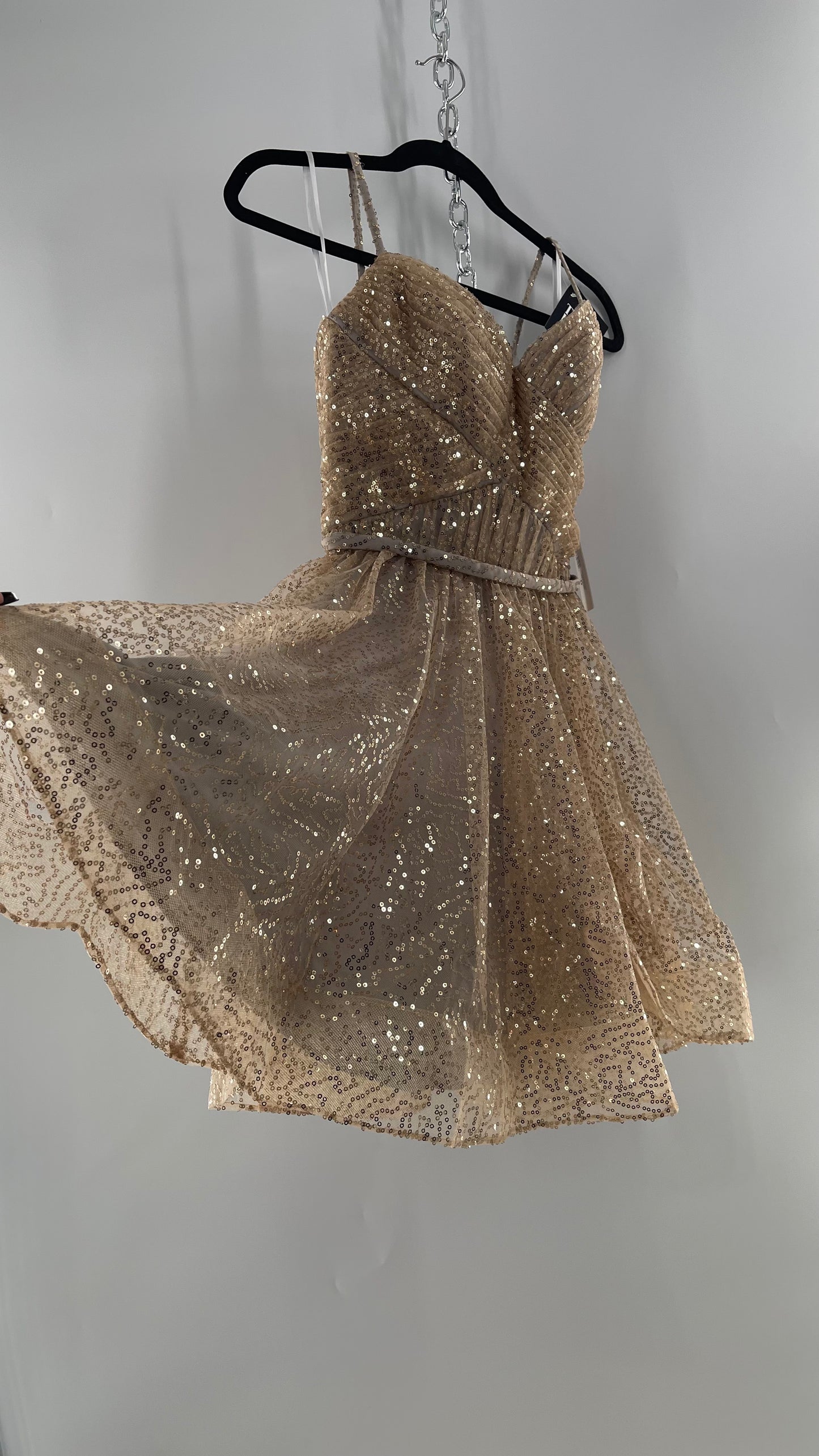 Terani Couture 1922H0420 Sleeveless Gold Sequin Tutu Dress with Ruched Corset Body (0)