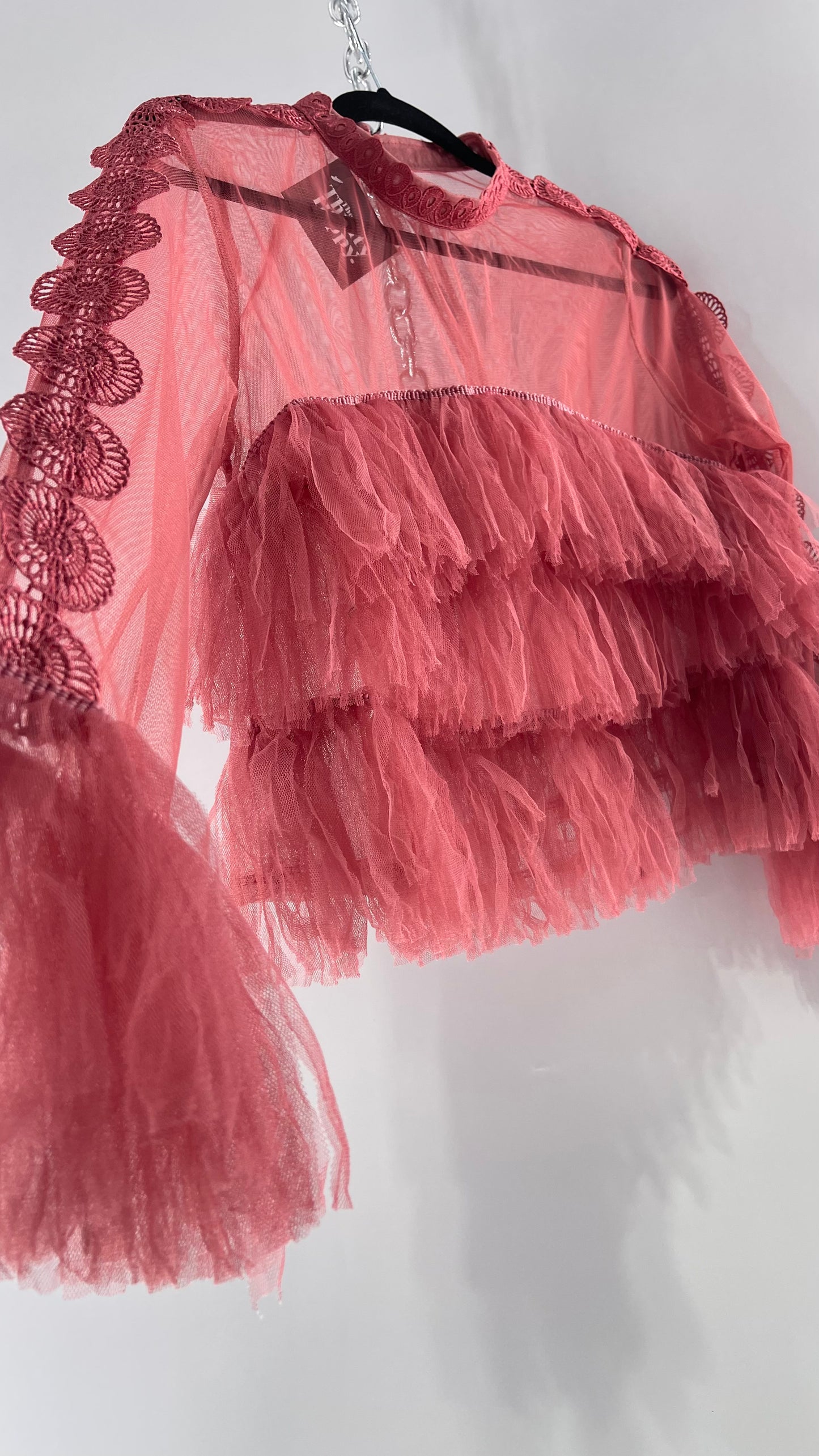 Ups & Downs Pink Mesh Blouse with Ruffled Body/Cuffs and Lace Ribbon Detailing (Medium)