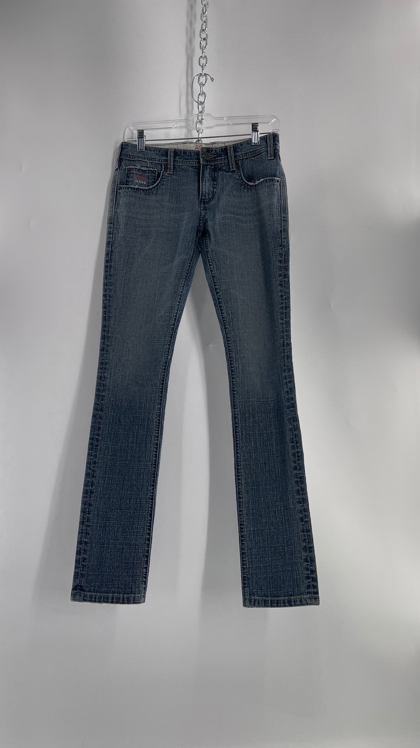Vintage Smart AS JEANS Light Wash with Silver Metallic Female Posing Silhouette and Paulina Field Embroidery (28)