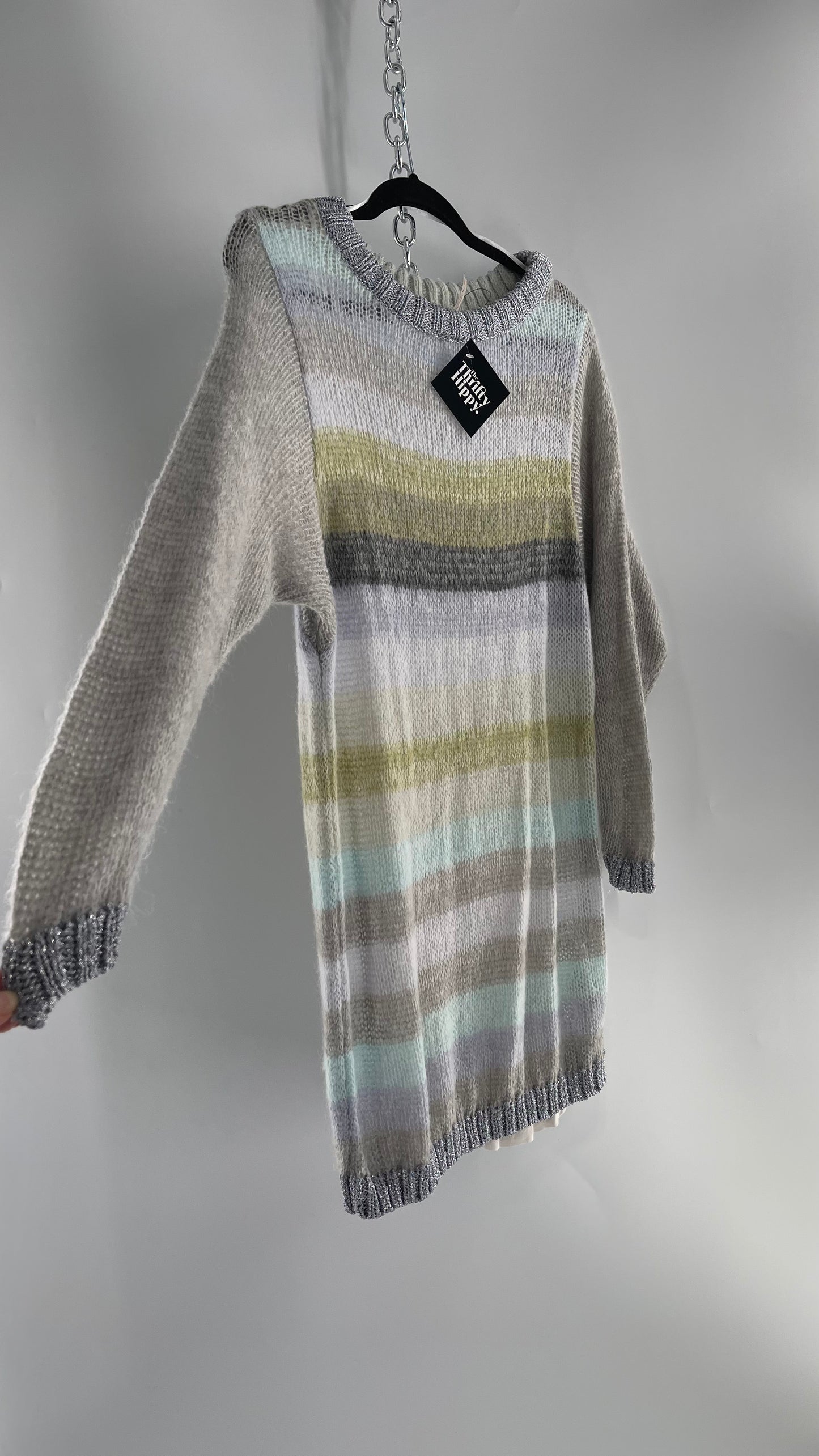 Free People Striped Sweater with Glitter Knit Cuffs and Collar (XS)