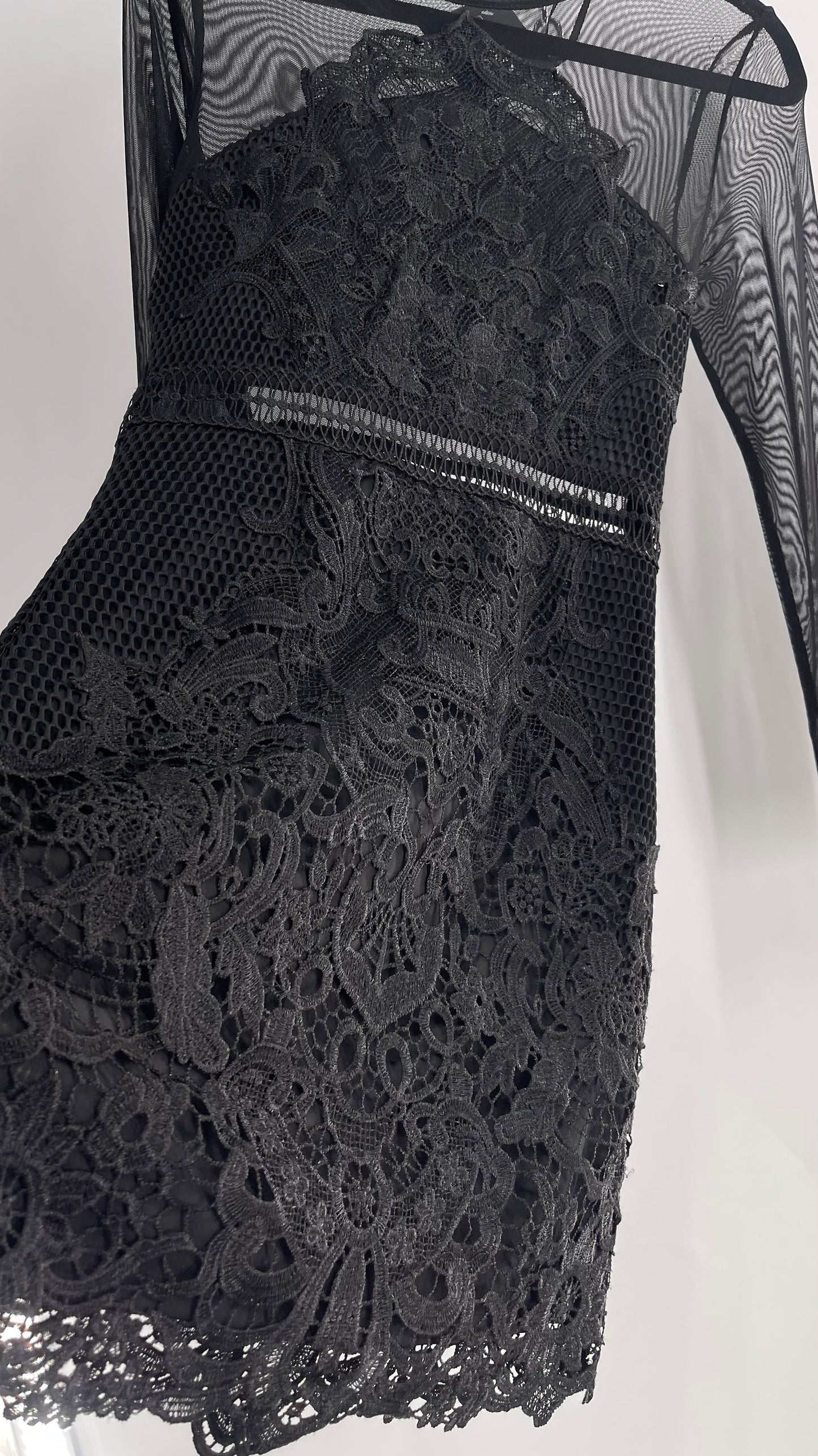 Mesh + Thick Lace Appliqué Mini Dress with Sheer Open Back (Small)