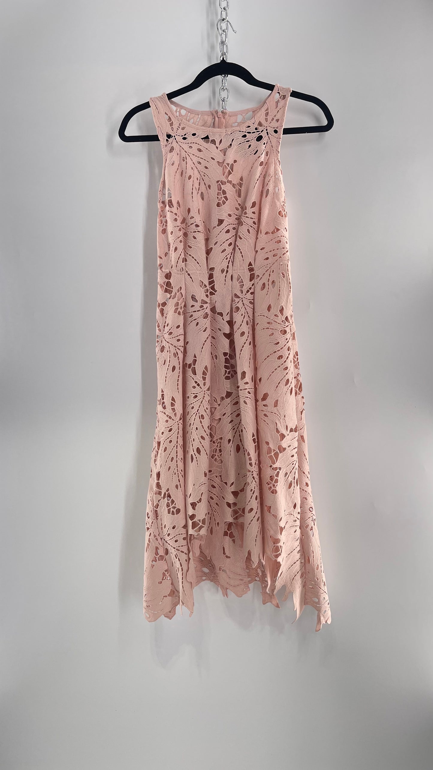Anthropologie Eva Franco Baby Pink Completely Laser Cut Lace Palm Leaf Knee High Dress (2)