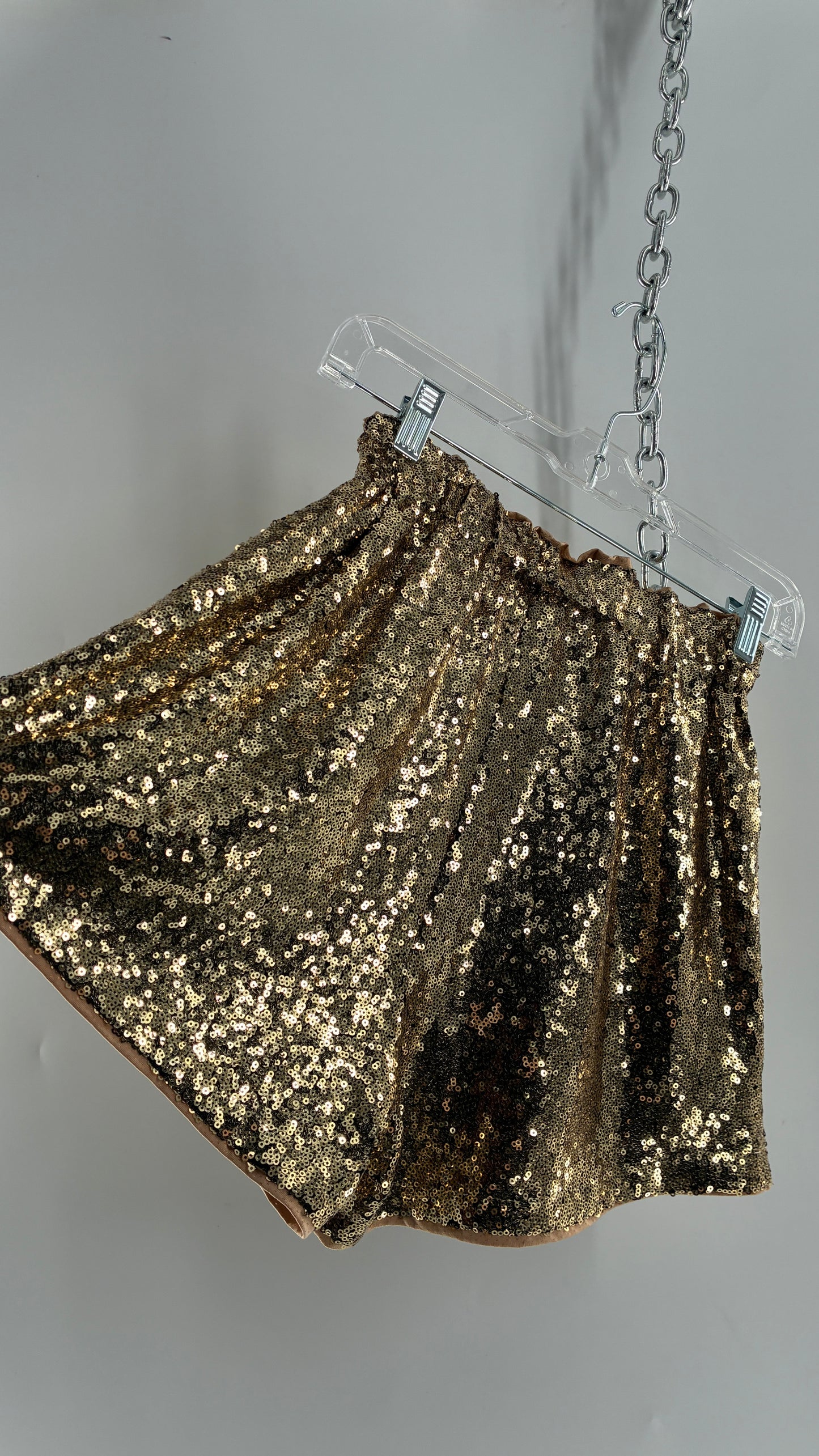 Gold Sequin Shorts with Tan Mesh Lining (Small)