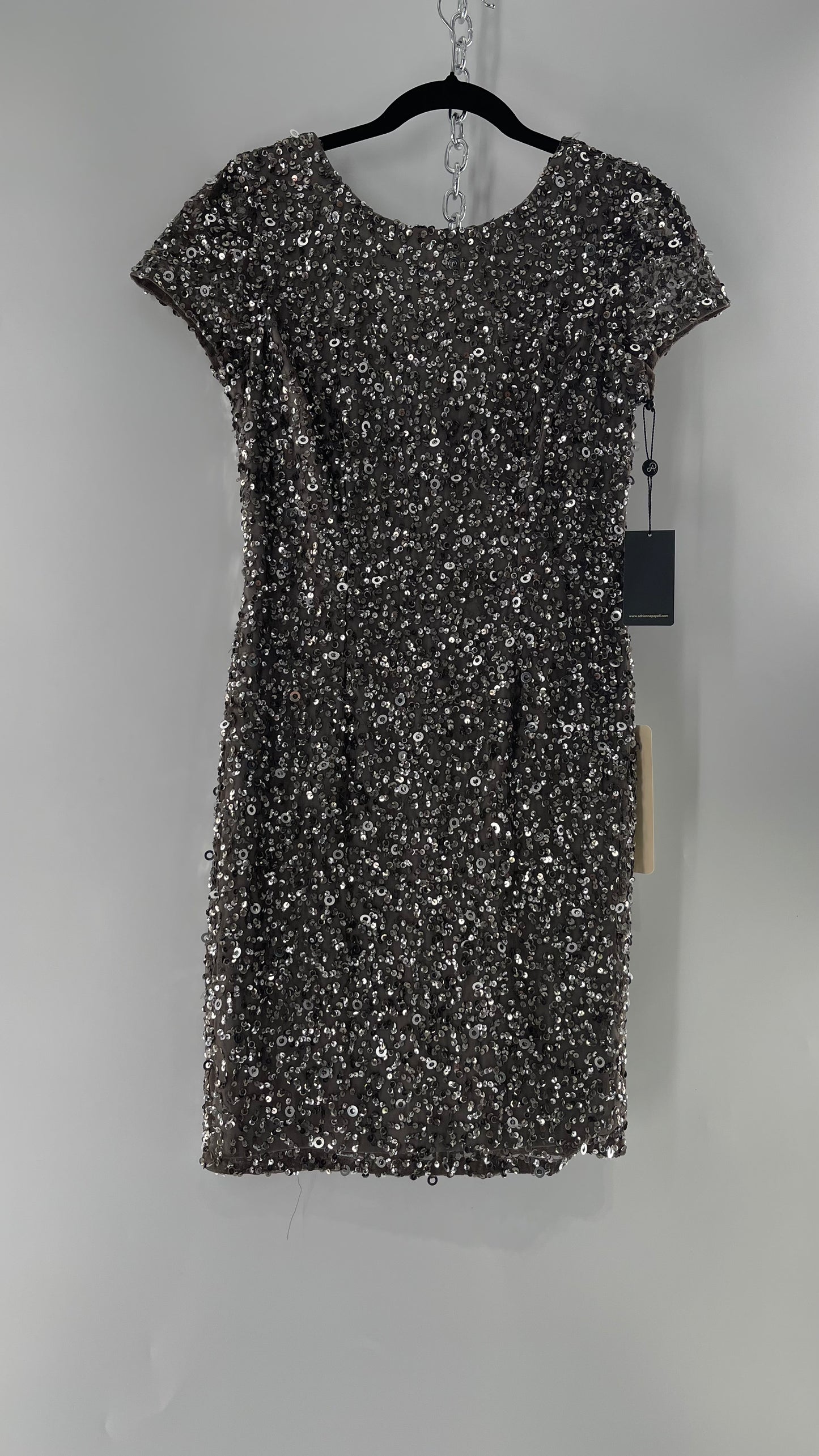 Adriana Papell Grey/Silver Short Sleeve Mini Dress Covered in Beads and Sequins (6)